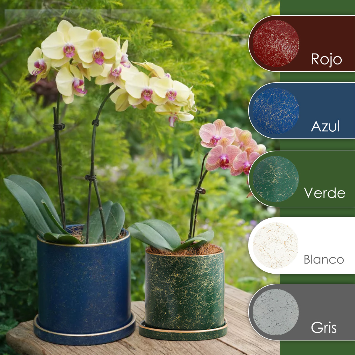 Ilios Innova Macetero borde dorado 18 cm alto, maceta de cerámica con plato de base, Elegante maceta para flores.