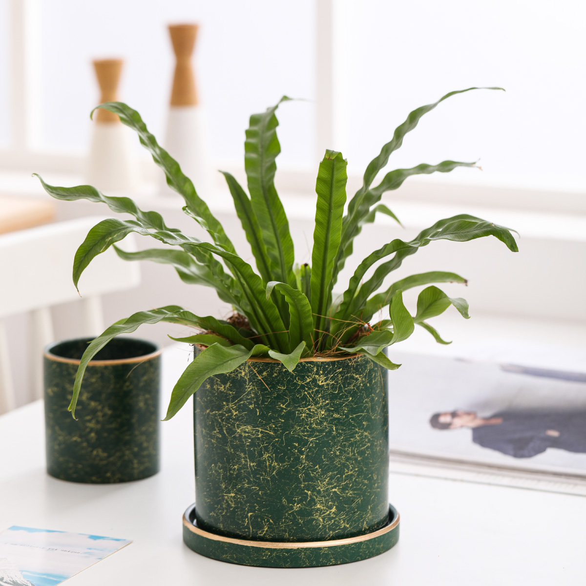 Ilios Innova Macetero borde dorado 18 cm alto, maceta de cerámica con plato de base, Elegante maceta para flores.