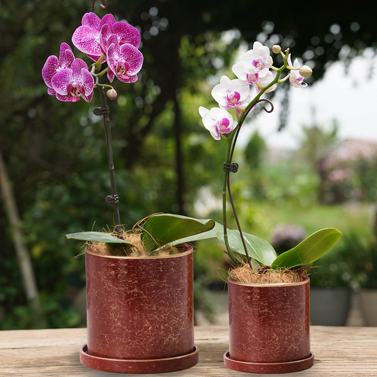 Ilios Innova Macetero borde dorado 18 cm alto, maceta de cerámica con plato de base, Elegante maceta para flores.