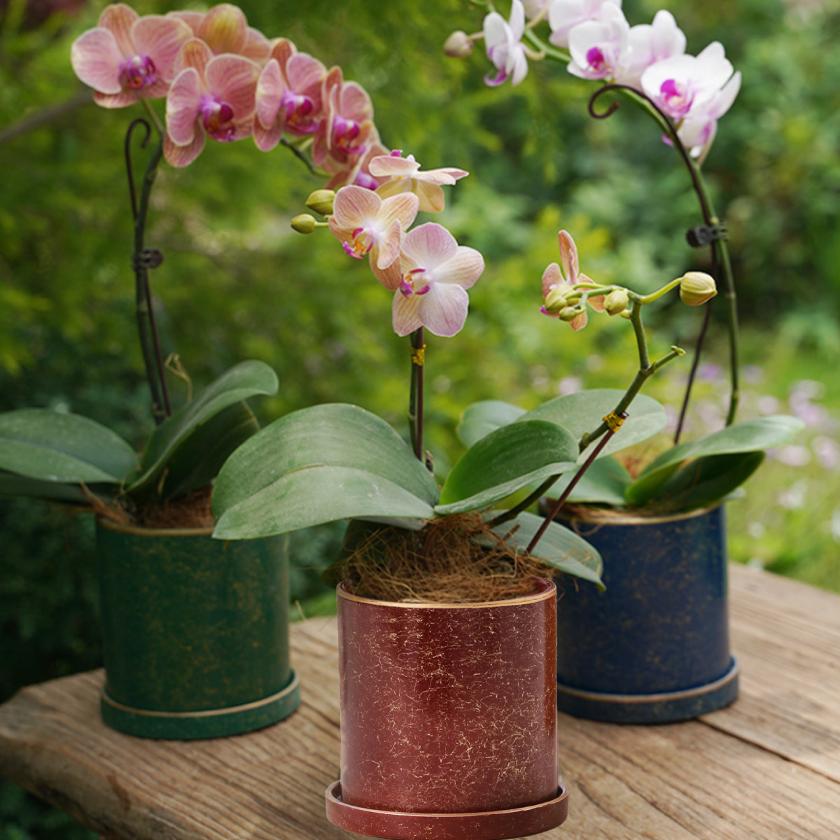 Ilios Innova Macetero borde dorado 18 cm alto, maceta de cerámica con plato de base, Elegante maceta para flores.