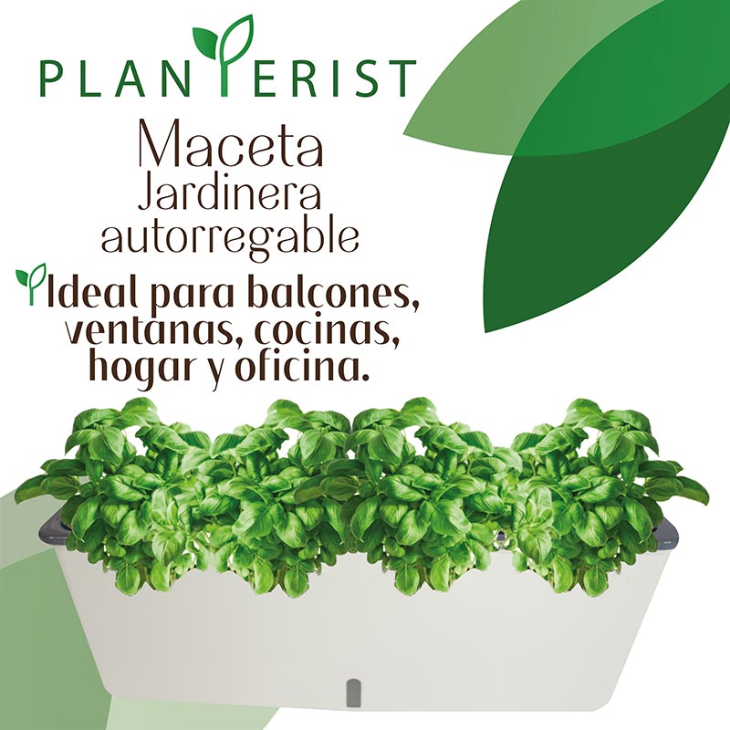 Planterist - Maceta jardínera autorregable rectangular - Diseño moderno para interior y exterior - Ideal para balcones, ventanas, cocinas, hogar y oficina. Plástico PP anti UV. Medidas (43cm de largo x 12 cm de ancho x 15 cm de alto) (Blanco brilloso)