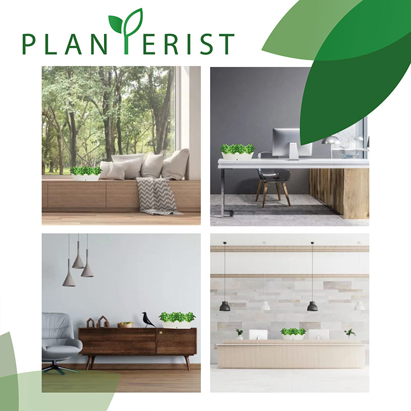 Planterist - Maceta jardínera autorregable rectangular - Diseño moderno para interior y exterior - Ideal para balcones, ventanas, cocinas, hogar y oficina. Plástico PP anti UV. Medidas (43cm de largo x 12 cm de ancho x 15 cm de alto) (Blanco brilloso)