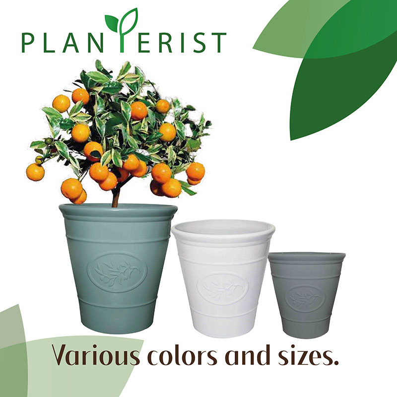 Planterist - Maceta chica - Acabado cerámico elegante vintage - Decorativa, moderna para interior o exterior - Súper resistente - Ideal para patio, jardín, terraza - Hecha de plástico PP reciclado anti UV - Medidas: 23 cm de diámetro x 23 cm de alto. Volumen interno 6L (Verde Brilloso)