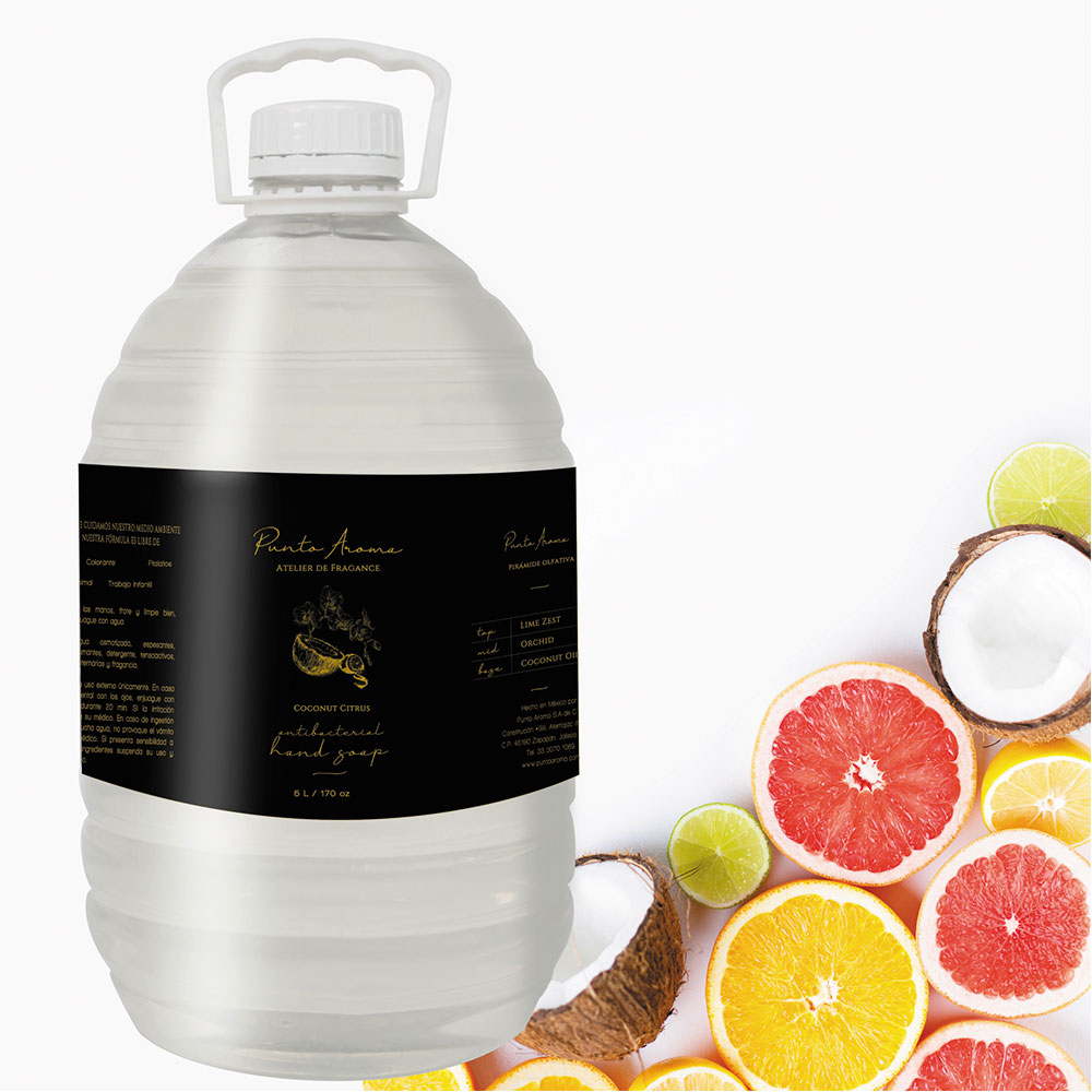 Punto Aroma - Jabón para Manos líquido 5l - Biodegradable - Fragancia Premium - para Uso Corporal - Ideal para Eliminar Grasa, Suciedad, gérmenes y microbios (Coconut Citrus)