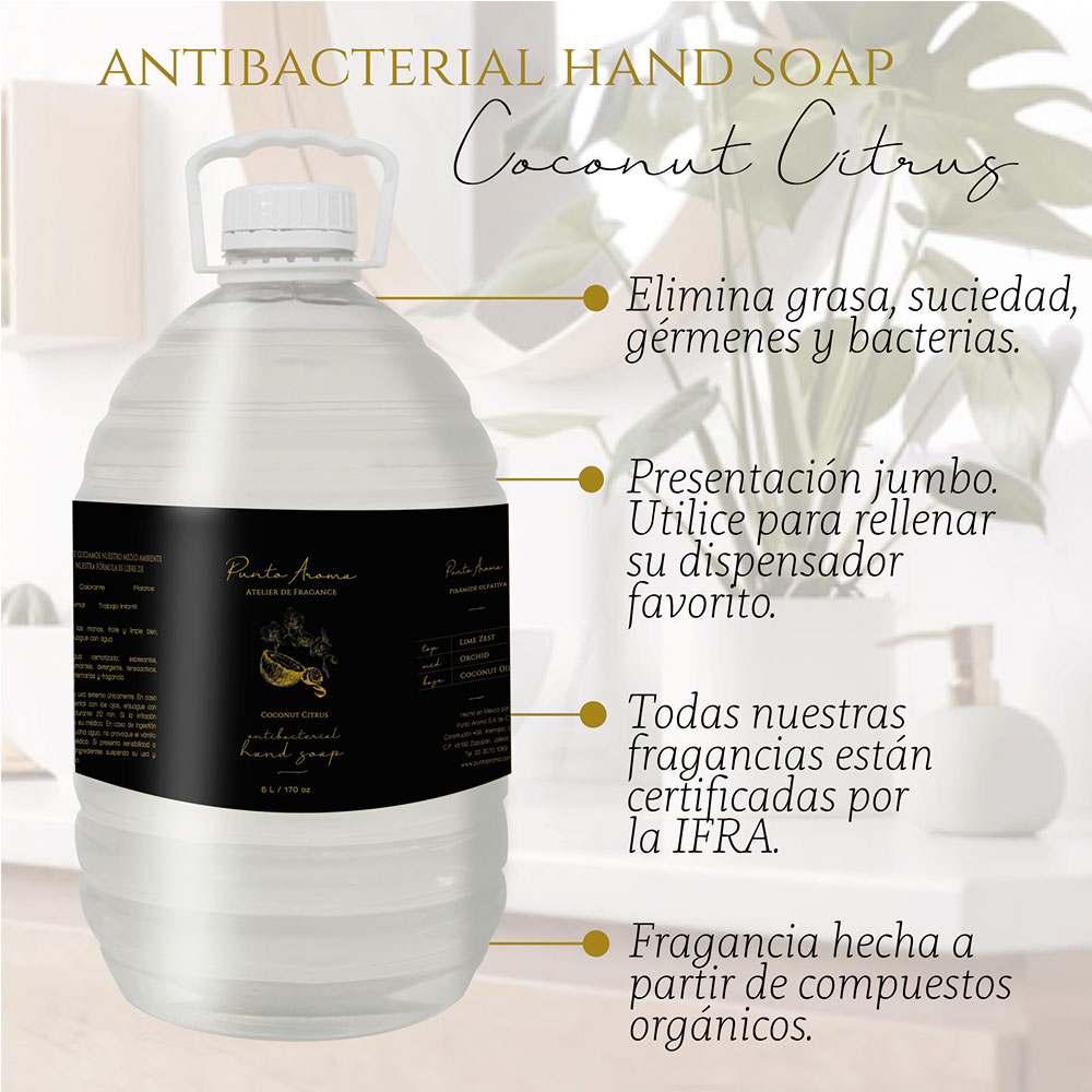 Punto Aroma - Jabón para Manos líquido 5l - Biodegradable - Fragancia Premium - para Uso Corporal - Ideal para Eliminar Grasa, Suciedad, gérmenes y microbios (Coconut Citrus)