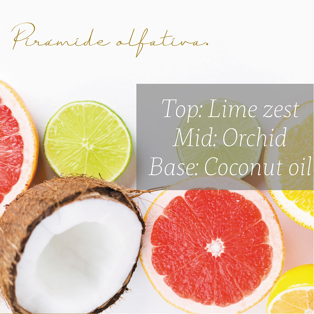 Punto Aroma - Jabón para Manos líquido 5l - Biodegradable - Fragancia Premium - para Uso Corporal - Ideal para Eliminar Grasa, Suciedad, gérmenes y microbios (Coconut Citrus)