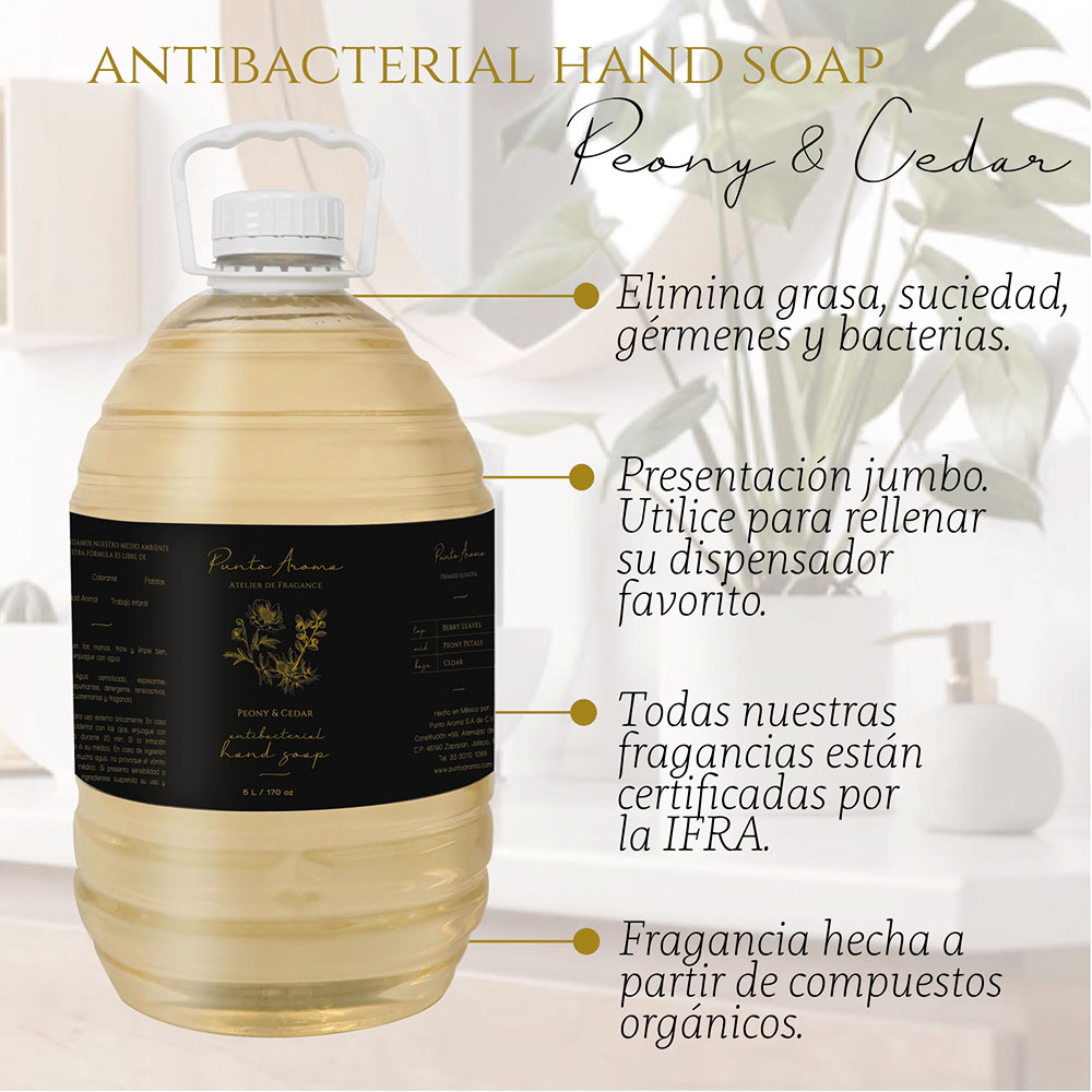 Punto Aroma - Jabón para Manos líquido 5l - Biodegradable - Fragancia Premium - para Uso Corporal - Ideal para Eliminar Grasa, Suciedad, gérmenes y microbios (Peony & Cedar)