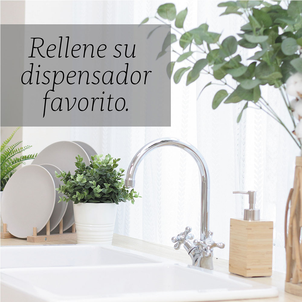 Punto Aroma - Jabón para Manos líquido 5l - Biodegradable - Fragancia Premium - para Uso Corporal - Ideal para Eliminar Grasa, Suciedad, gérmenes y microbios (Peony & Cedar)