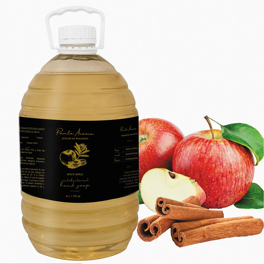 Punto Aroma - Jabón para Manos líquido 5l - Biodegradable - Fragancia Premium - para Uso Corporal - Ideal para Eliminar Grasa, Suciedad, gérmenes y microbios (Spicy Apple)