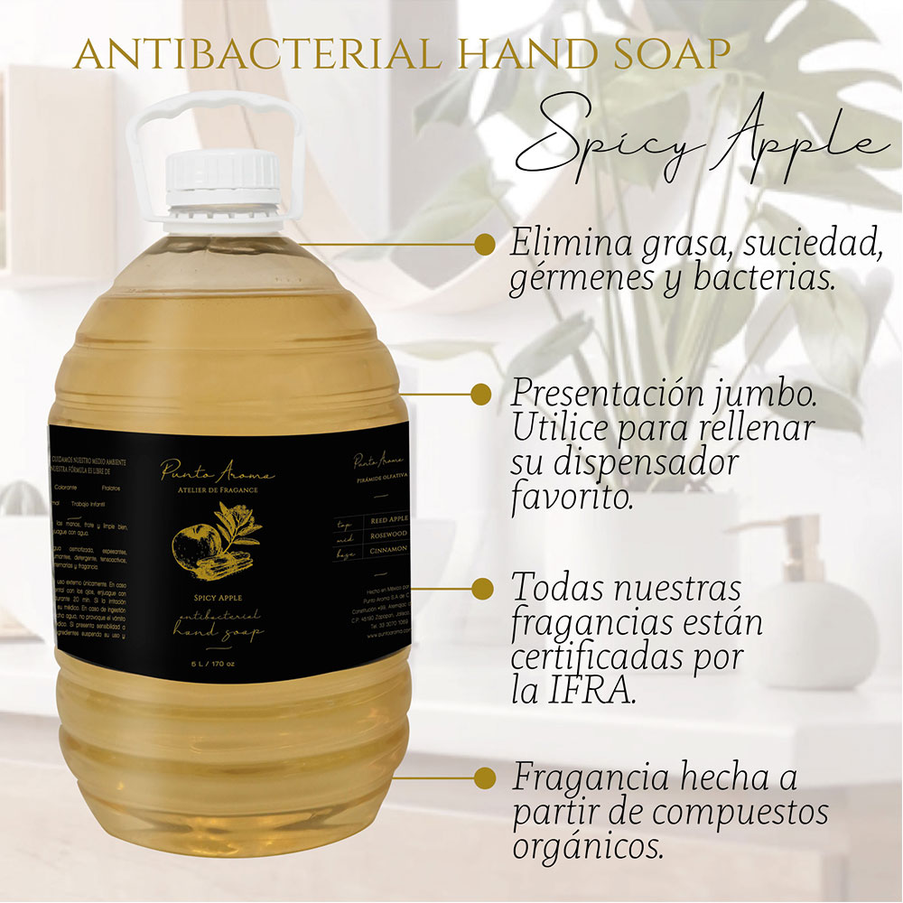Punto Aroma - Jabón para Manos líquido 5l - Biodegradable - Fragancia Premium - para Uso Corporal - Ideal para Eliminar Grasa, Suciedad, gérmenes y microbios (Spicy Apple)