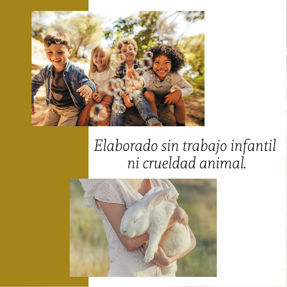 Punto Aroma - Jabón para Manos líquido 5l - Biodegradable - Fragancia Premium - para Uso Corporal - Ideal para Eliminar Grasa, Suciedad, gérmenes y microbios (Spicy Apple)