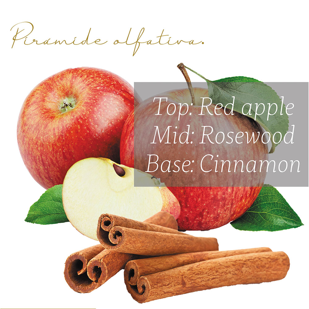 Punto Aroma - Jabón para Manos líquido 5l - Biodegradable - Fragancia Premium - para Uso Corporal - Ideal para Eliminar Grasa, Suciedad, gérmenes y microbios (Spicy Apple)