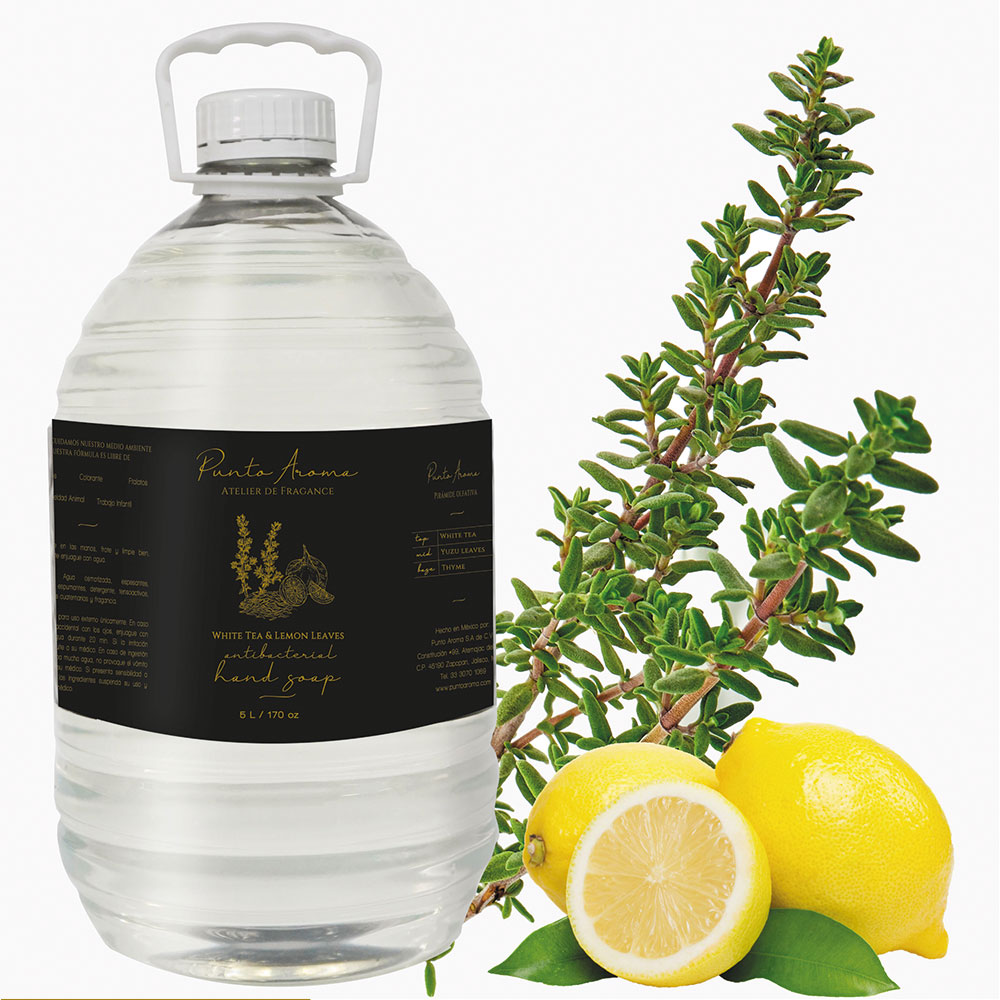 Punto Aroma - Jabón para Manos líquido 5l - Biodegradable - Fragancia Premium - para Uso Corporal - Ideal para Eliminar Grasa, Suciedad, gérmenes y microbios (White Tea & Lemon Leaves)