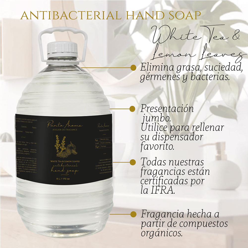 Punto Aroma - Jabón para Manos líquido 5l - Biodegradable - Fragancia Premium - para Uso Corporal - Ideal para Eliminar Grasa, Suciedad, gérmenes y microbios (White Tea & Lemon Leaves)