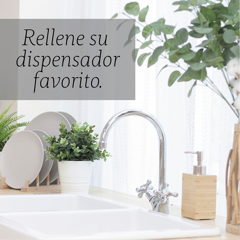 Punto Aroma - Jabón para Manos líquido 5l - Biodegradable - Fragancia Premium - para Uso Corporal - Ideal para Eliminar Grasa, Suciedad, gérmenes y microbios (White Tea & Lemon Leaves)
