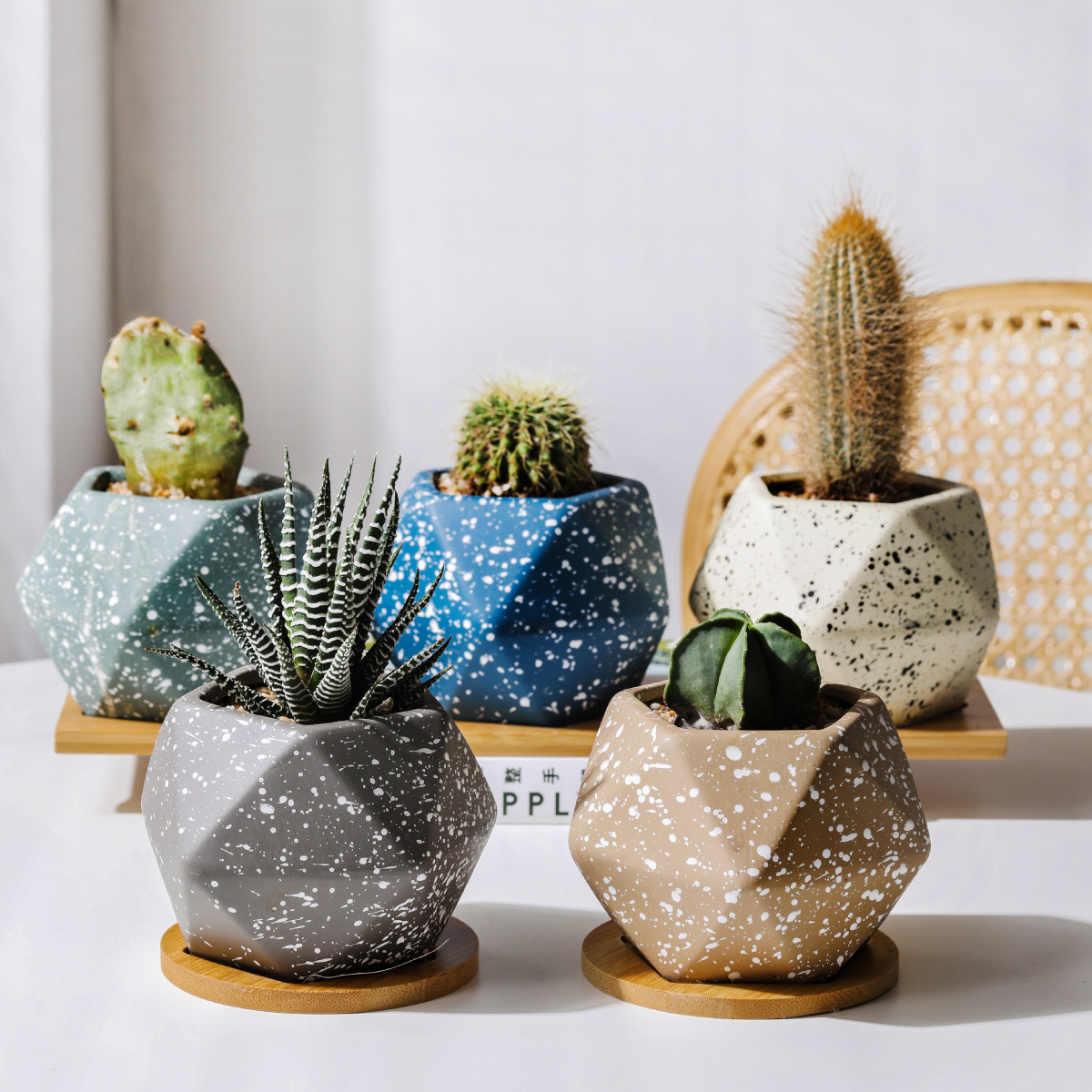 Macetero geométrico Maceta de cerámica Minimalista con Plato Base de Madera de bambú (GRIS)