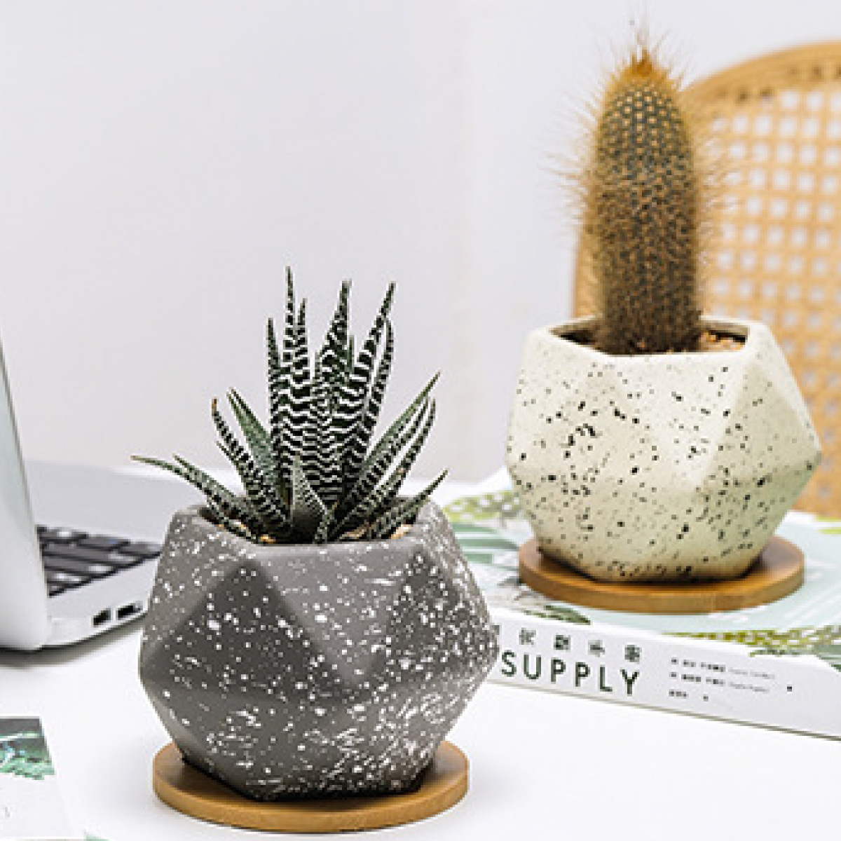 Macetero geométrico Maceta de cerámica Minimalista con Plato Base de Madera de bambú (GRIS)