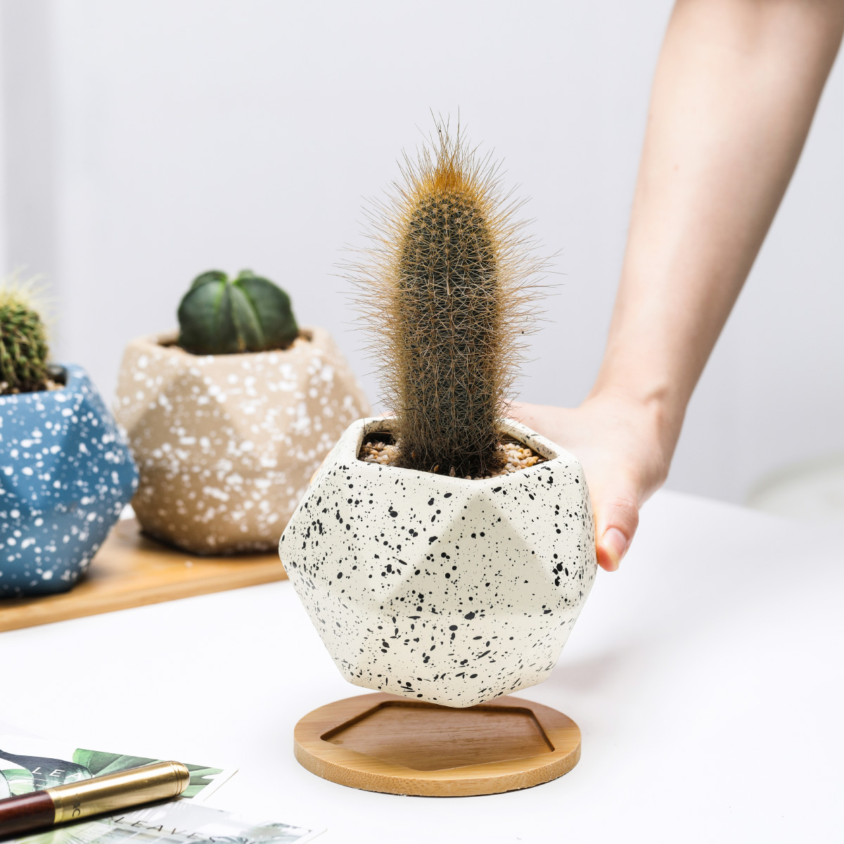 Macetero geométrico Maceta de cerámica Minimalista con Plato Base de Madera de bambú (GRIS)