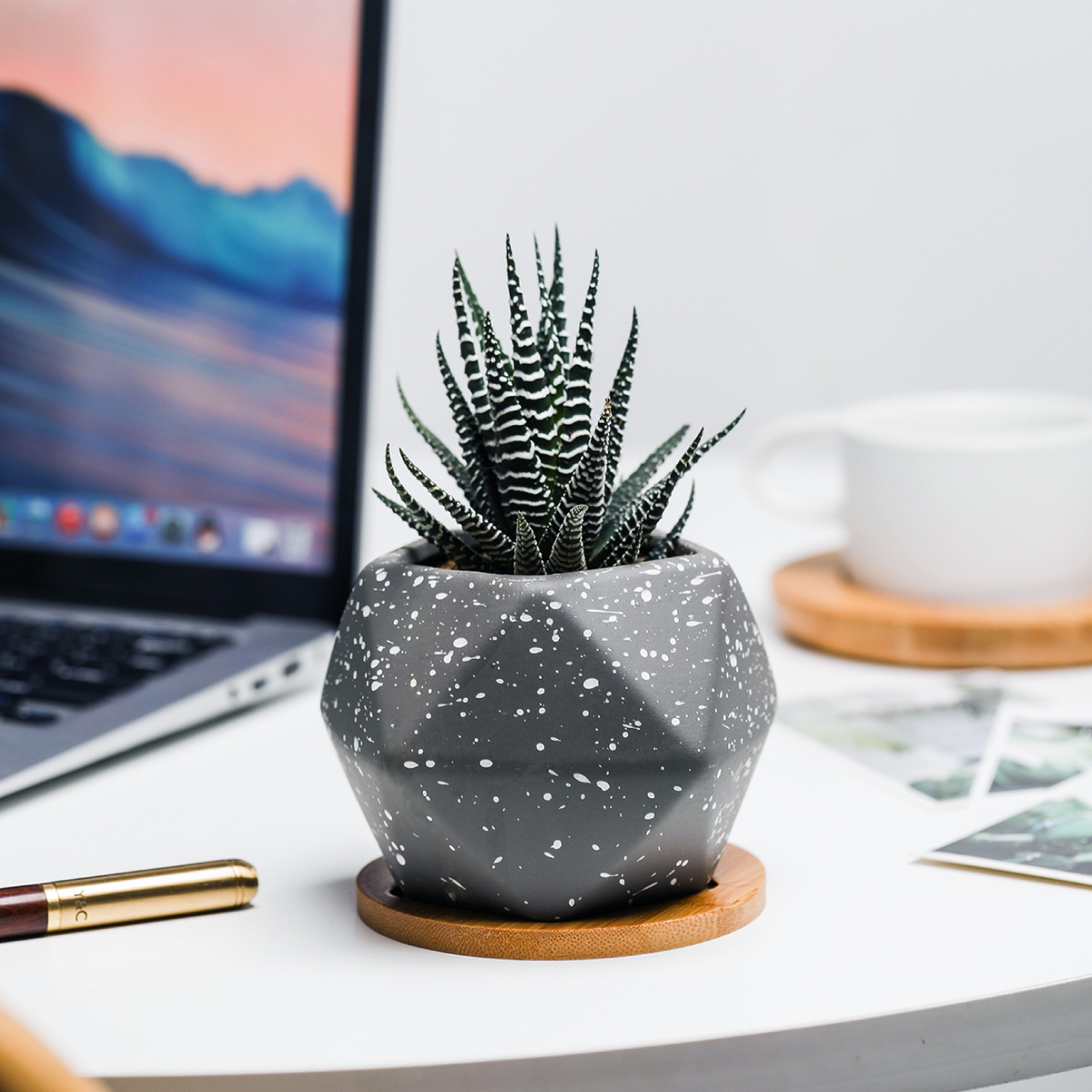 Macetero geométrico Maceta de cerámica Minimalista con Plato Base de Madera de bambú (GRIS)