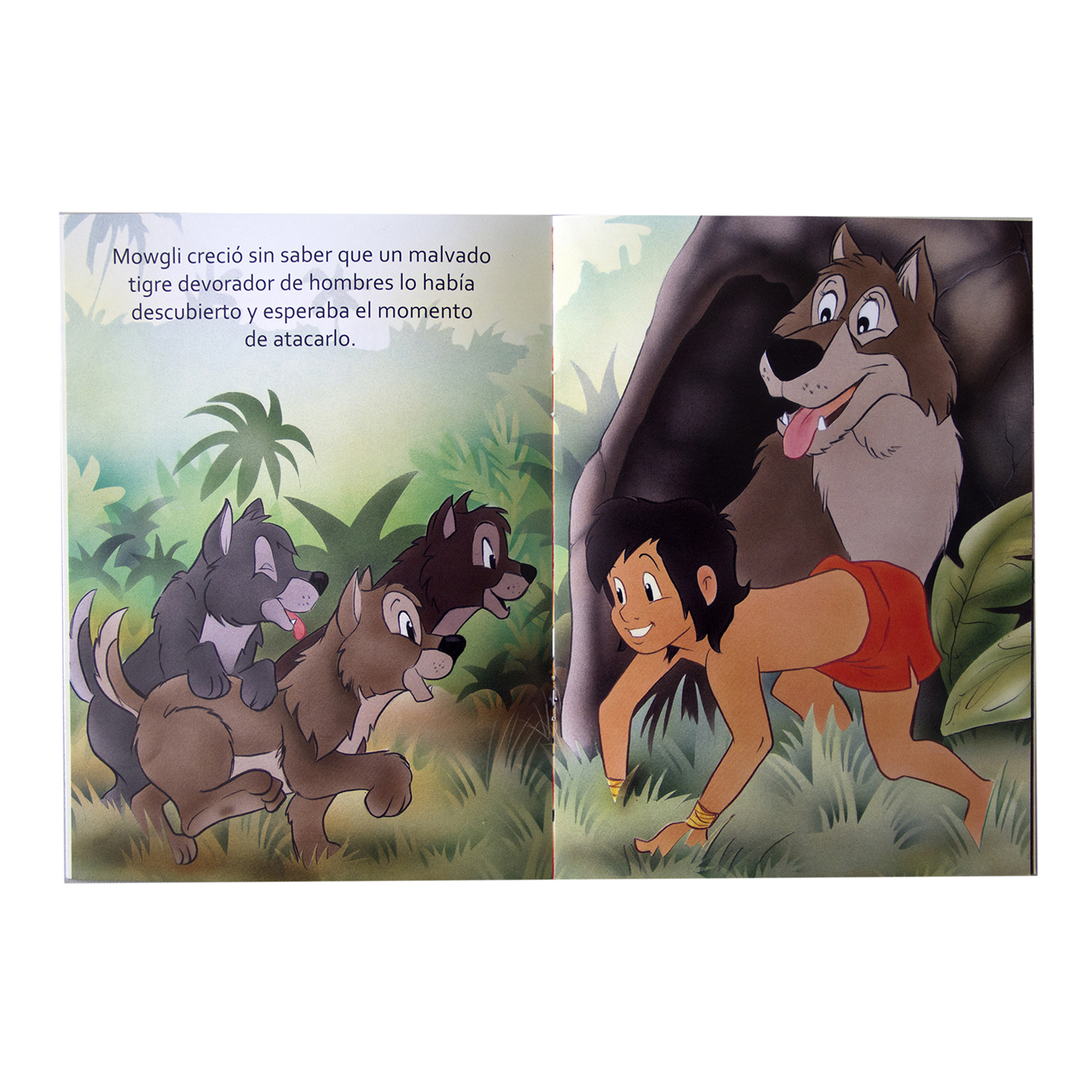 Colección 20 libros, Cuentos Clásicos y Fábulas Tradicionales, Tres Cerditos, Pinocho, Patito Feo y más