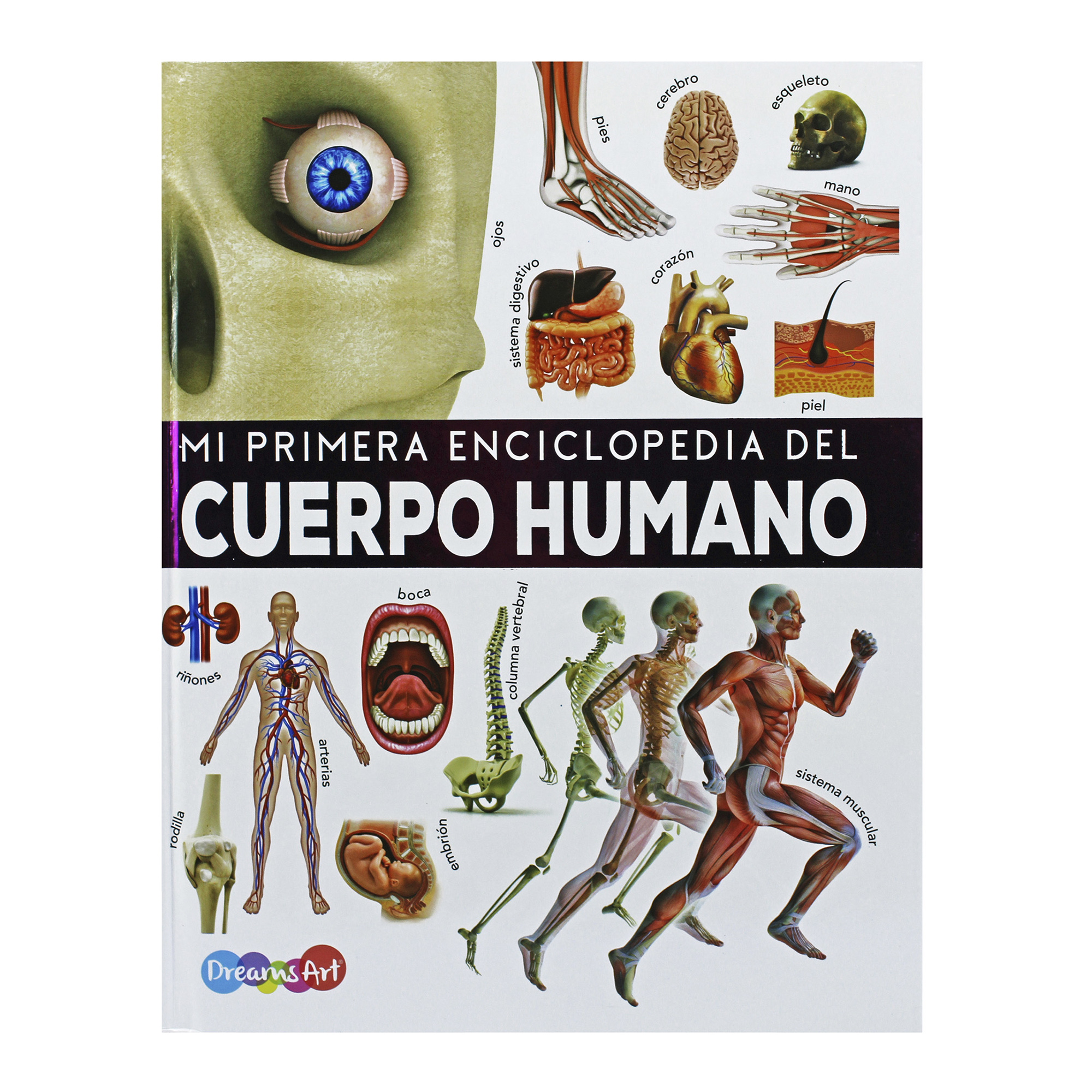 El Cuerpo Humano, Mi Primera Enciclopedia Ilustrada, Pasta Dura