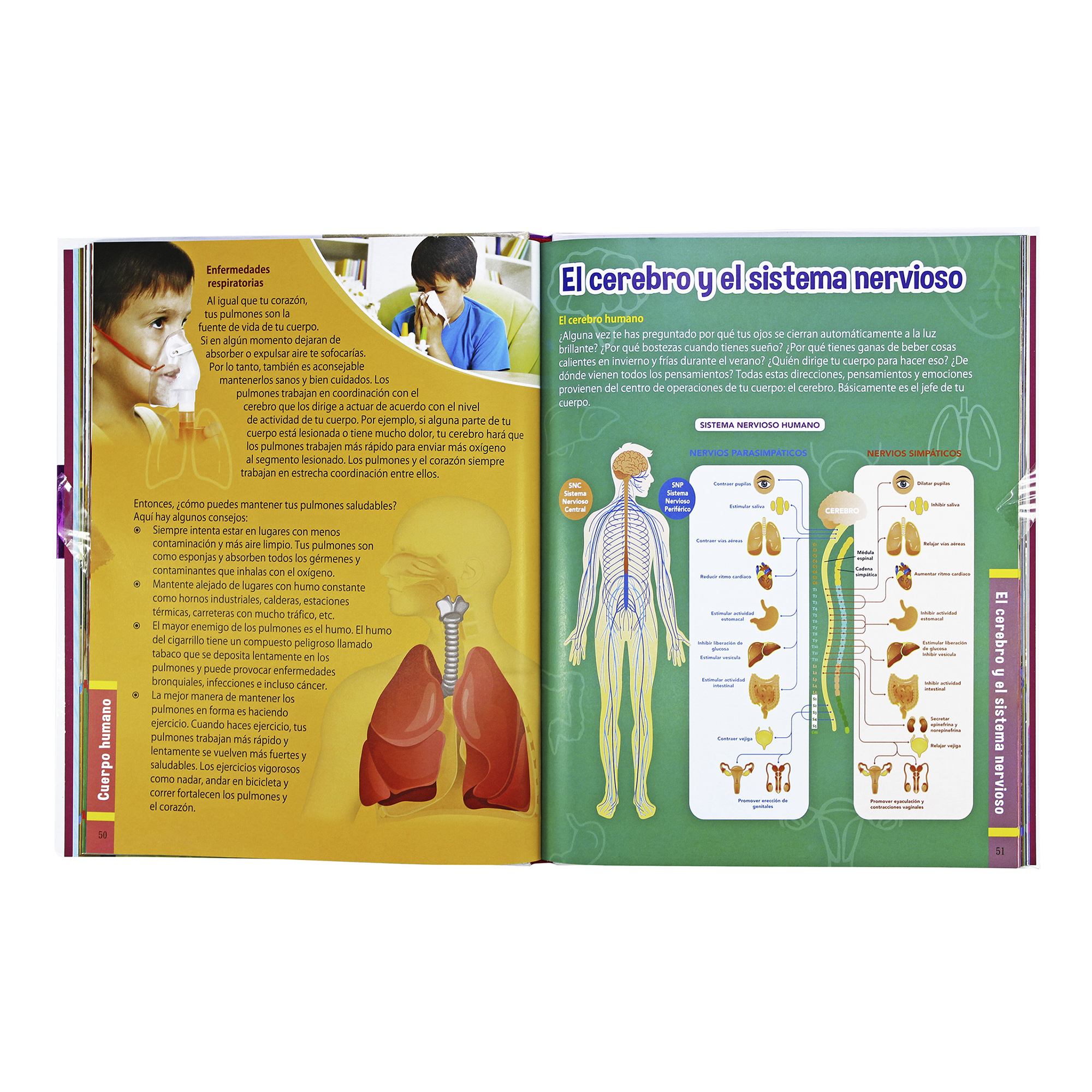 El Cuerpo Humano, Mi Primera Enciclopedia Ilustrada, Pasta Dura