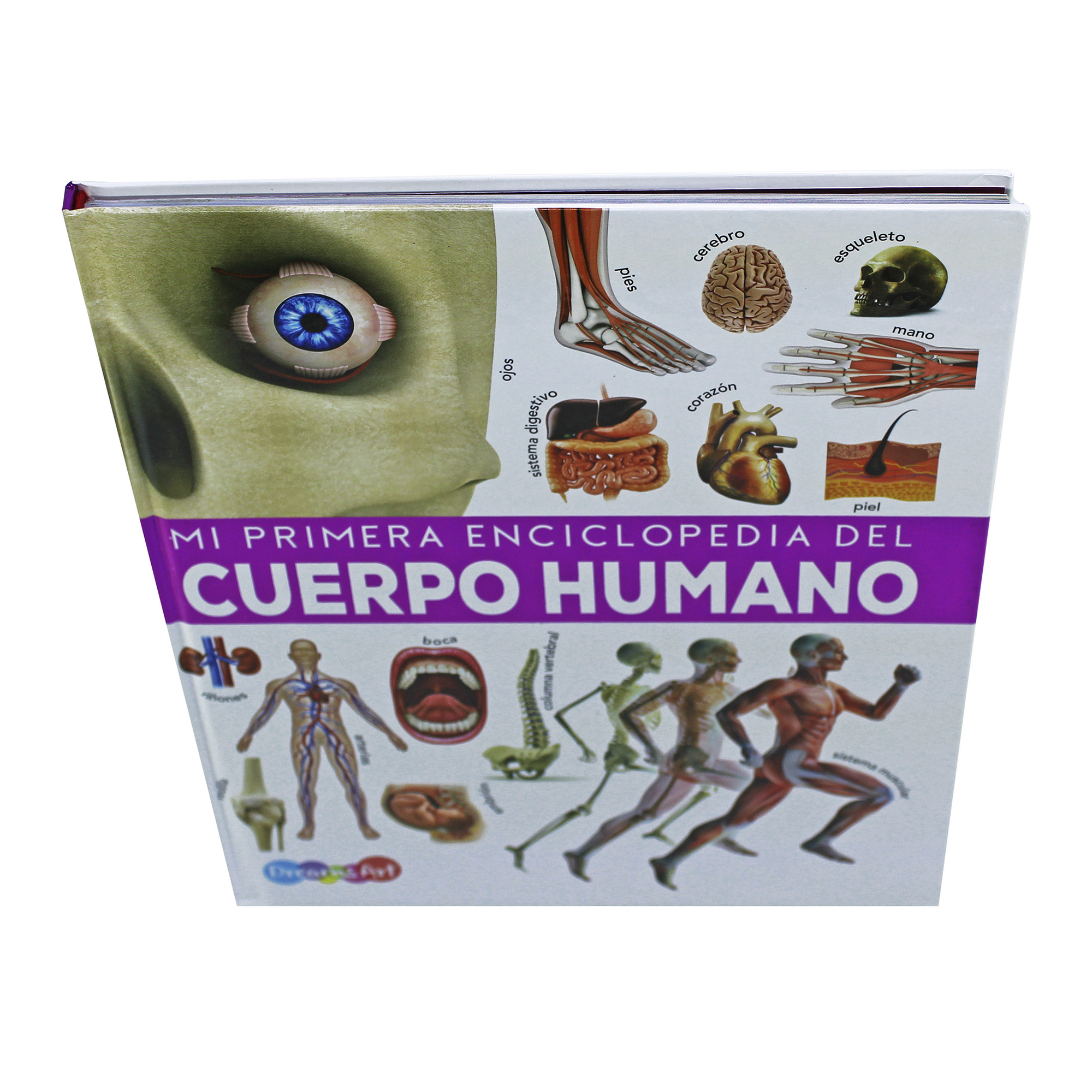 El Cuerpo Humano, Mi Primera Enciclopedia Ilustrada, Pasta Dura