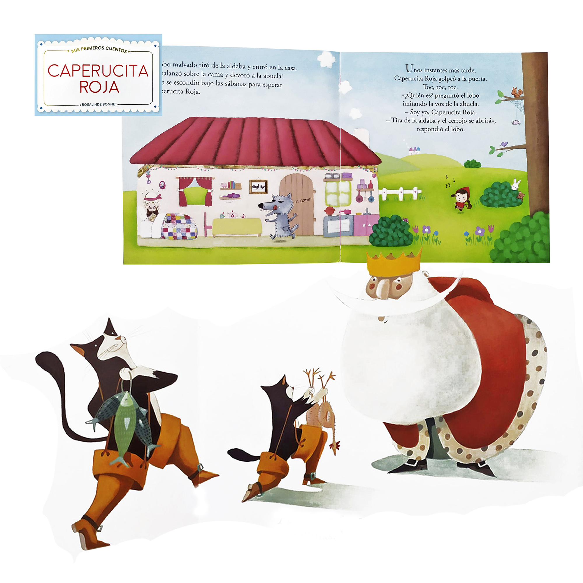 Colección 9 Libros con Cuentos Clásicos Ilustrados, Patito Feo, Tres Cerditos, Rapunzel 