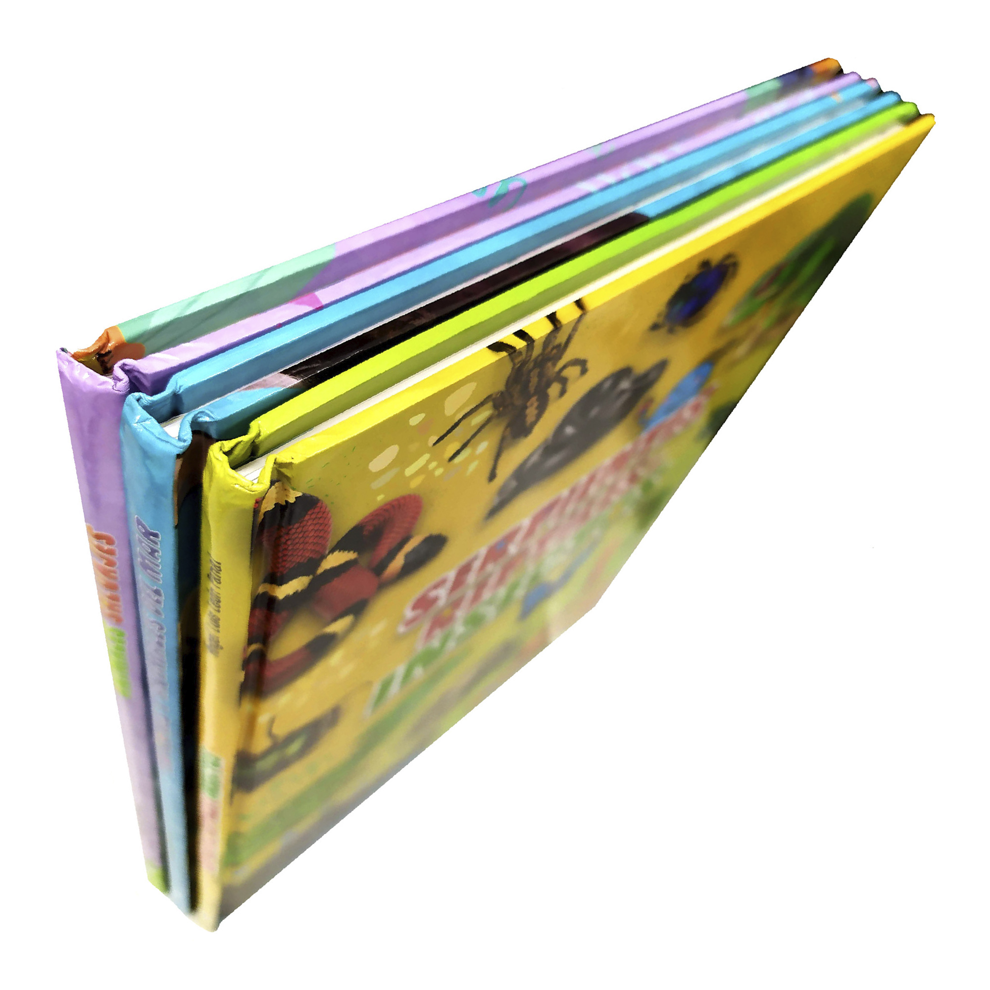 Colección 3 Libros Tiburones, Reptiles, Insectos, Animales, Infantiles, Pasta Dura