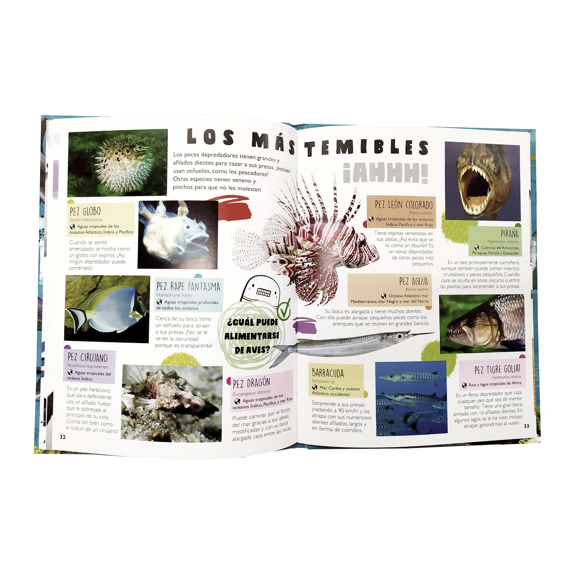 Colección 3 Libros Tiburones, Reptiles, Insectos, Animales, Infantiles, Pasta Dura