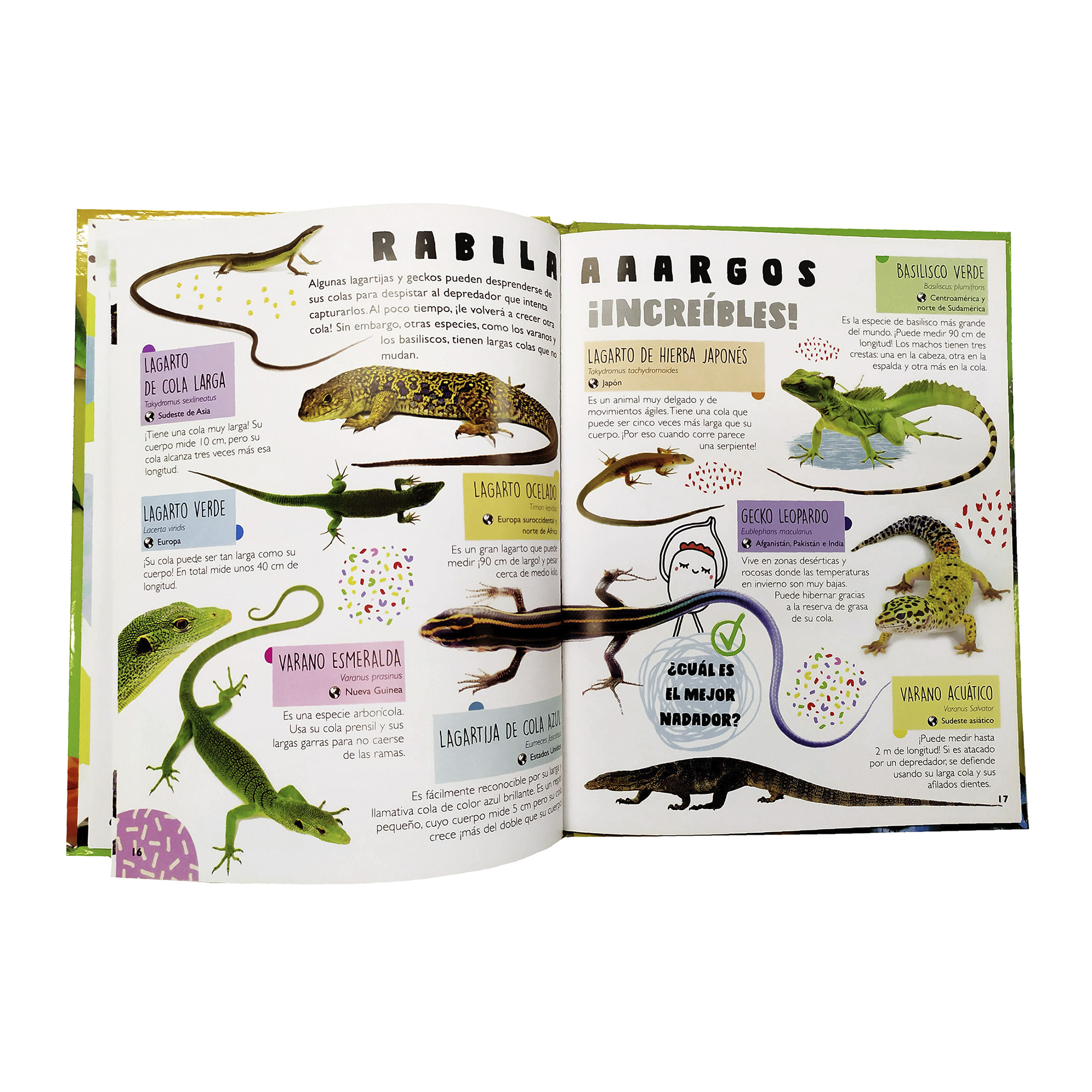 Colección 3 Libros Tiburones, Reptiles, Insectos, Animales, Infantiles, Pasta Dura