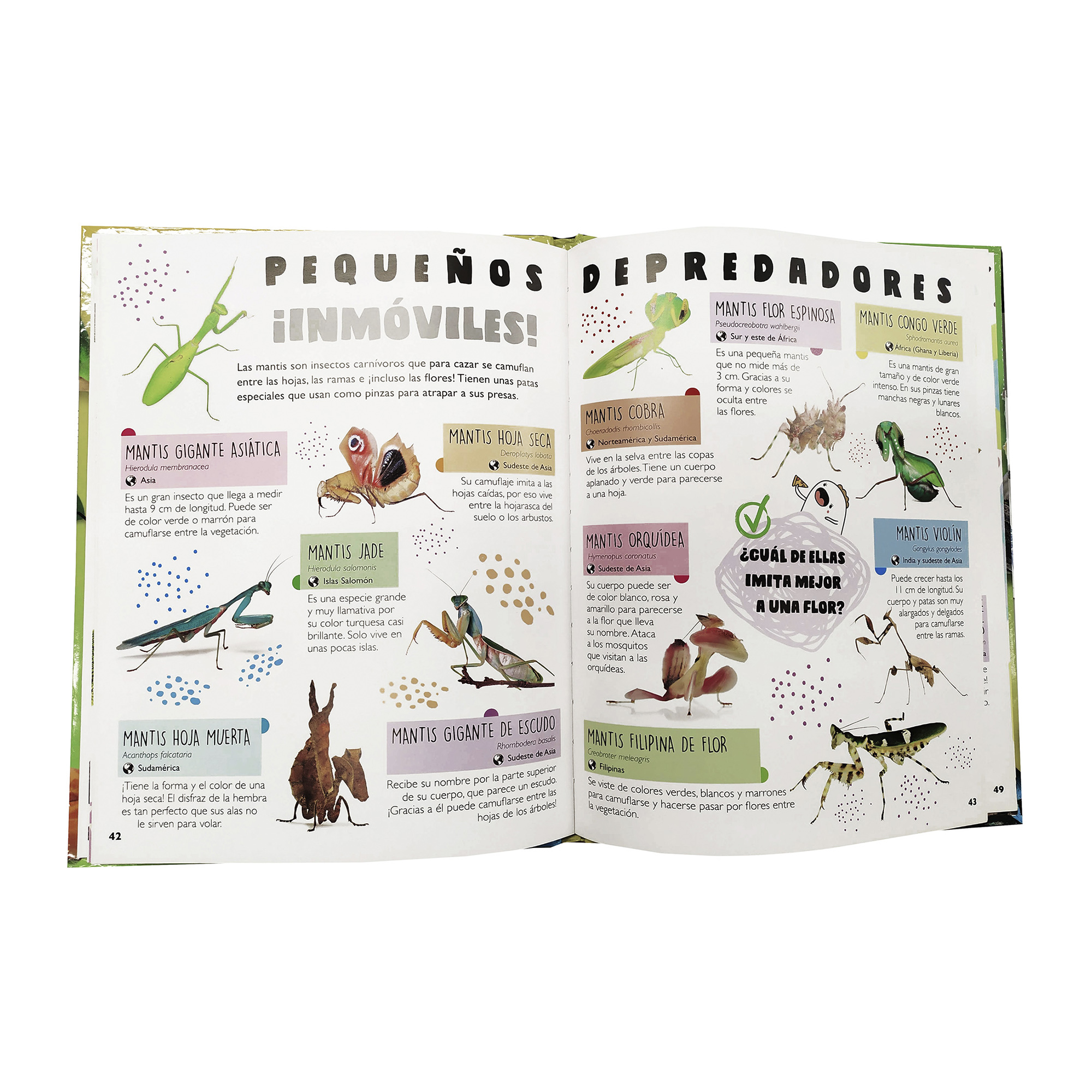 Colección 3 Libros Tiburones, Reptiles, Insectos, Animales, Infantiles, Pasta Dura