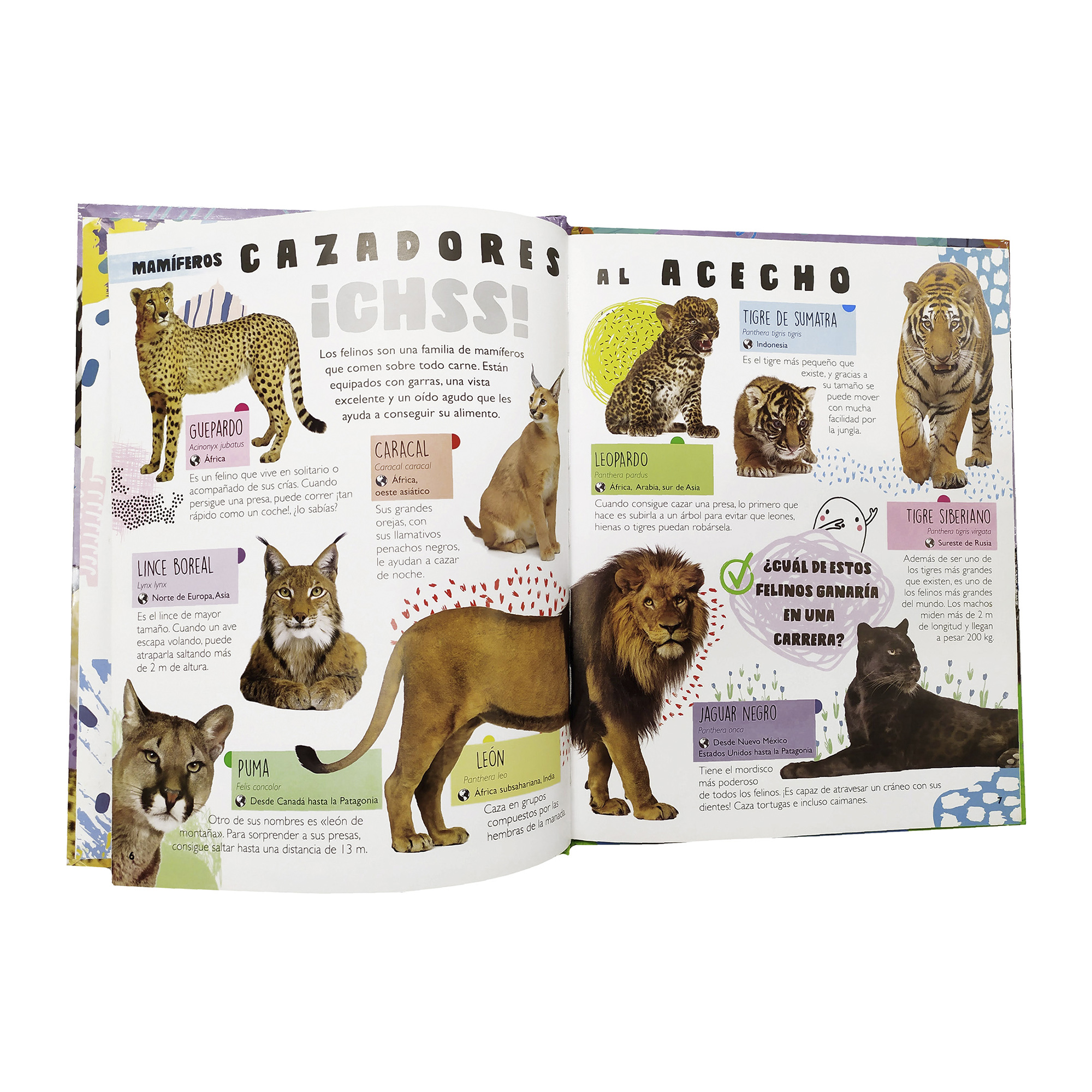 Colección 3 Libros Tiburones, Reptiles, Insectos, Animales, Infantiles, Pasta Dura