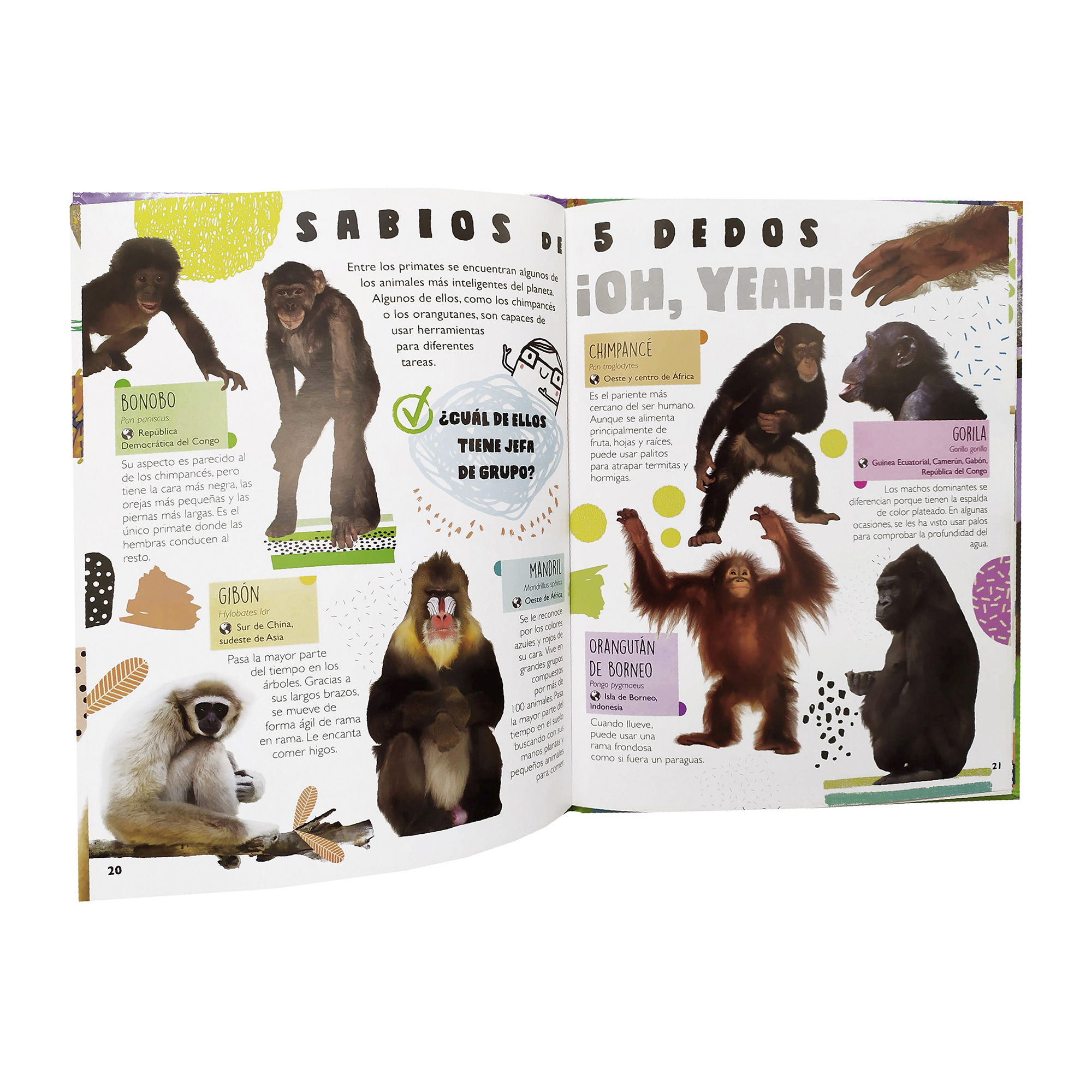 Colección 3 Libros Tiburones, Reptiles, Insectos, Animales, Infantiles, Pasta Dura