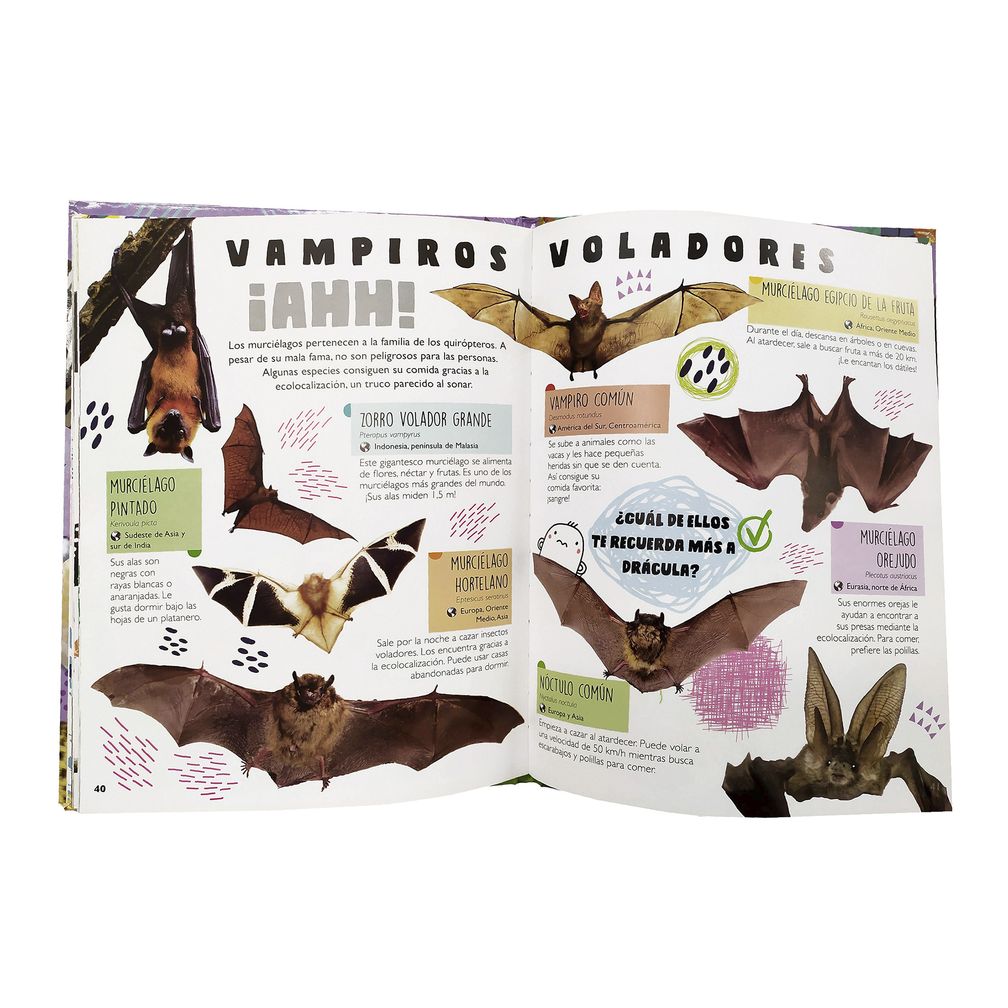 Colección 3 Libros Tiburones, Reptiles, Insectos, Animales, Infantiles, Pasta Dura