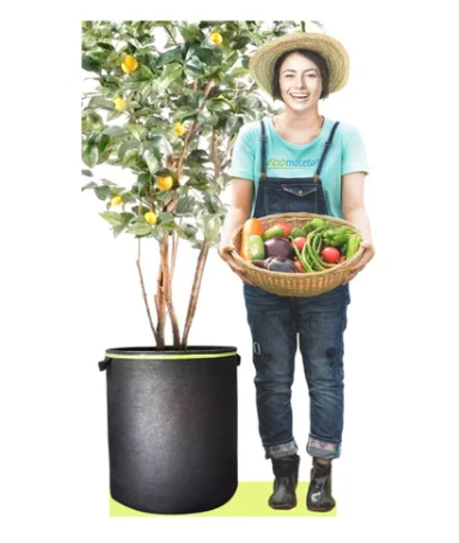 Maceta de Tela 80 Litros Maceta Gigante Arboles Frutales