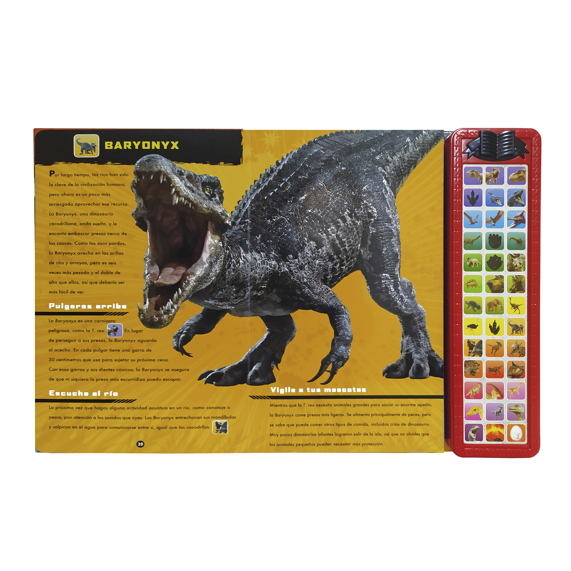 Dinosaurios Libro Con Sonido Didáctico Ilustrado a color, Pasta Dura