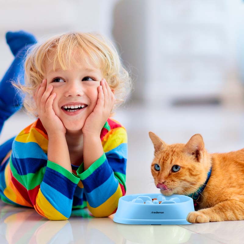 Plato para Perro De Alimentación Lenta Slow Feed 2 Tz Redlemon