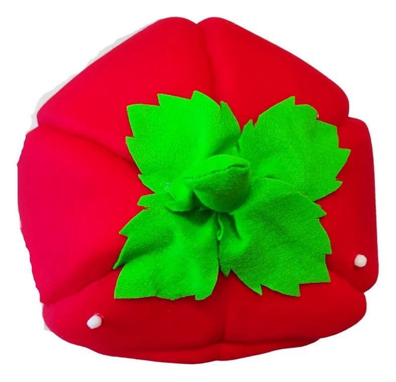 Casa Cama Para Perro Chico Chihuahua Bichón Yorkshire Forma de Fresa Interiores