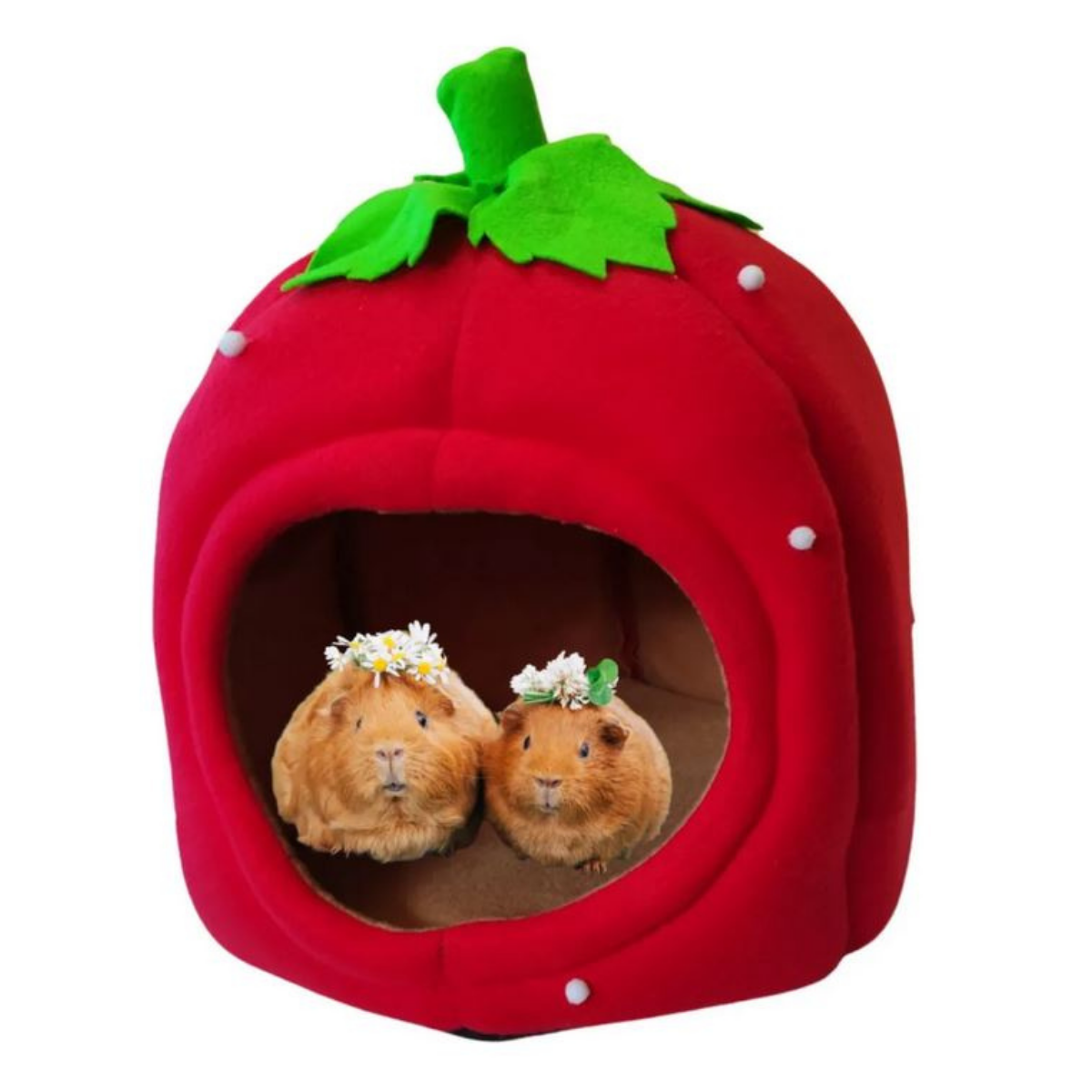 Casa Cama Para Perro Chico Chihuahua Bichón Yorkshire Forma de Fresa Interiores