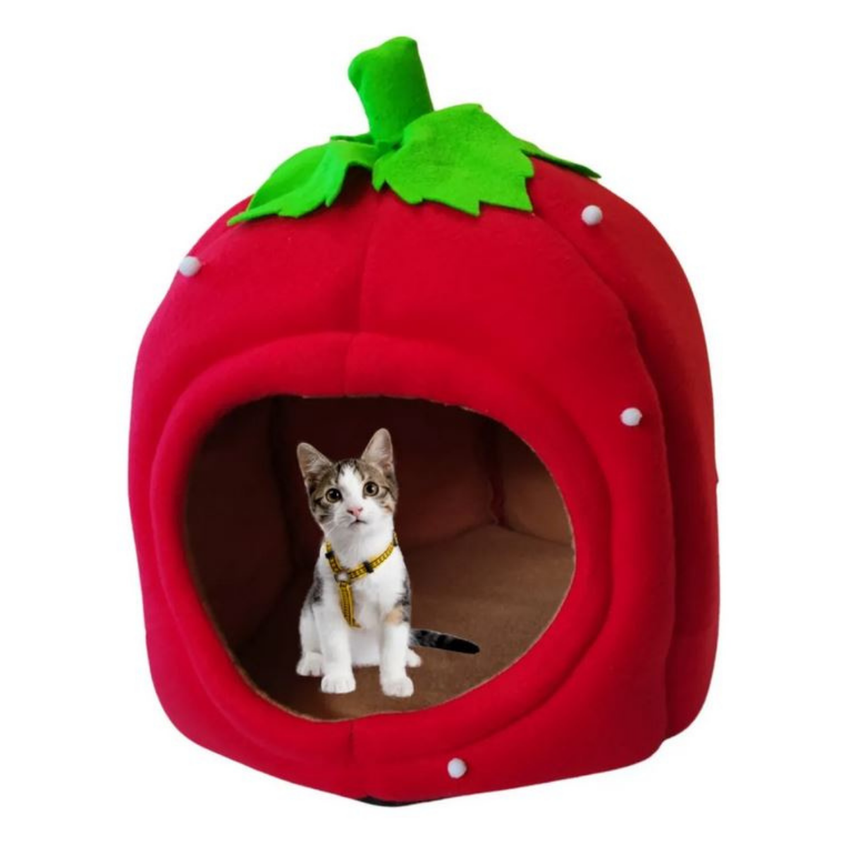 Casa Cama Para Perro Chico Chihuahua Bichón Yorkshire Forma de Fresa Interiores