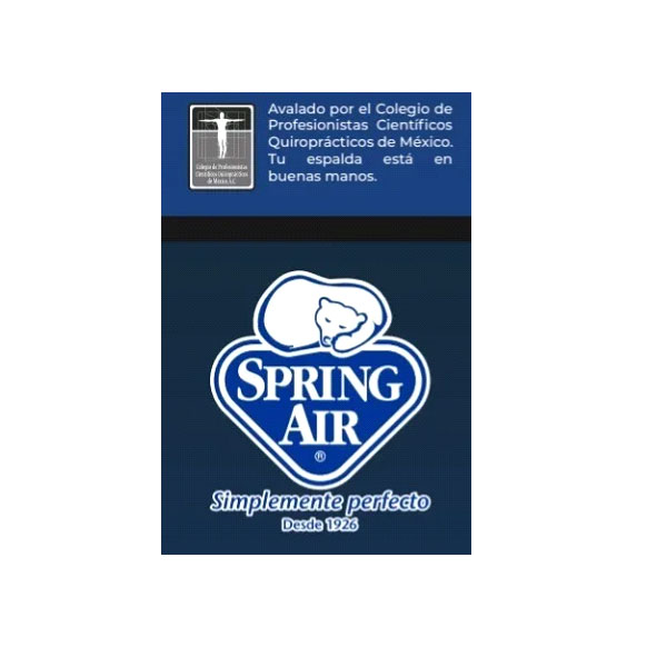 Colchon Matrimonial Spring Air De Colchoneta Premier