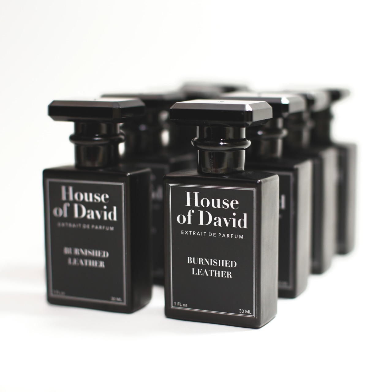 THE HOUSE OF DAVID BURNISHED LEATHER 30ML EXTRAIT DE PARFUM