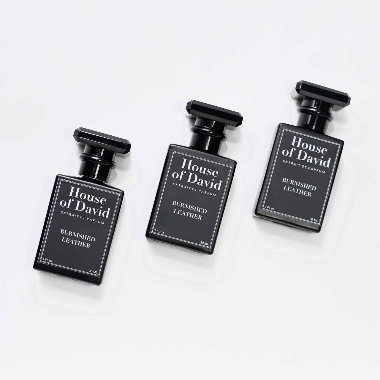 THE HOUSE OF DAVID BURNISHED LEATHER 30ML EXTRAIT DE PARFUM