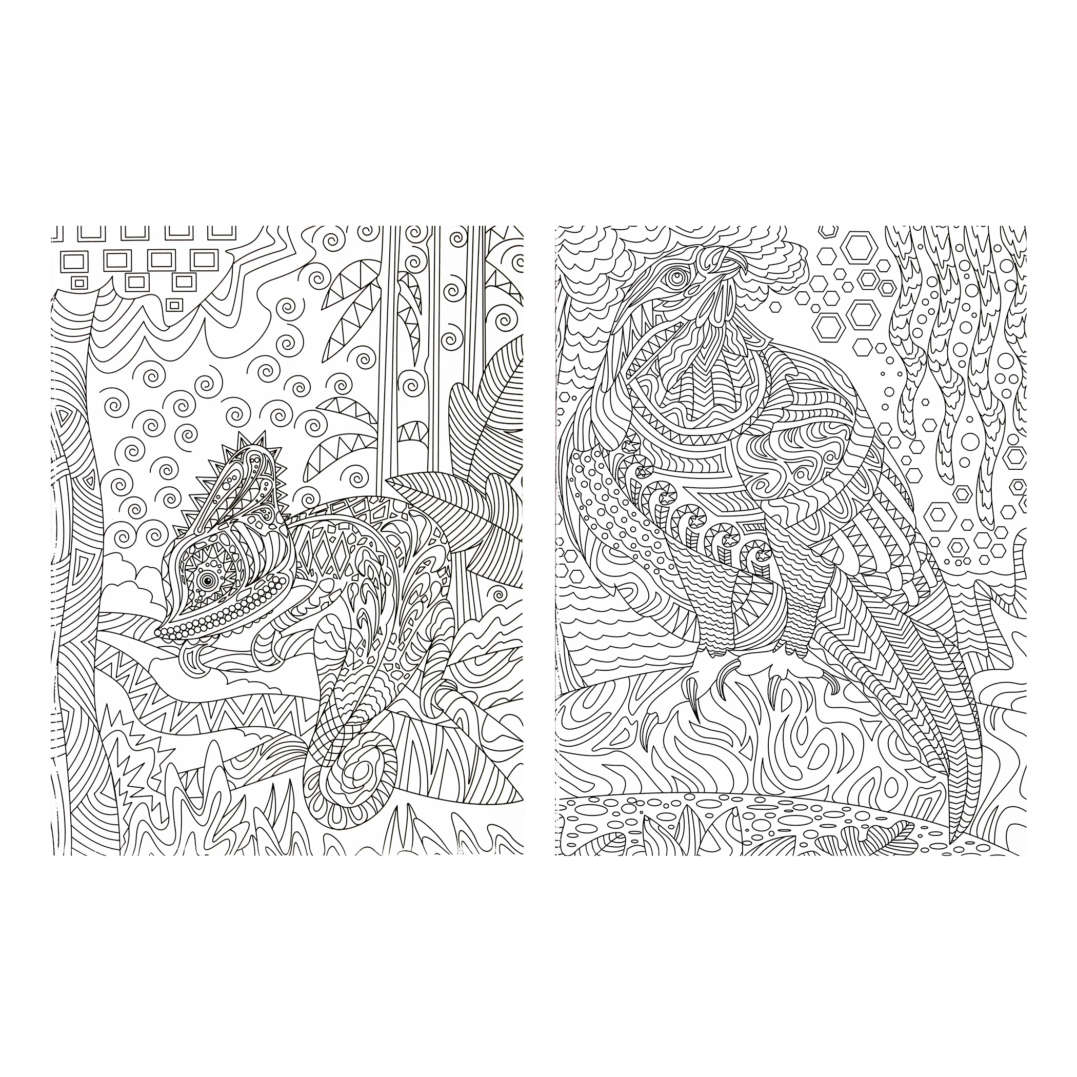 Libro para Colorear Animales + 12 colores + 24 Plumones + 64 Diseños