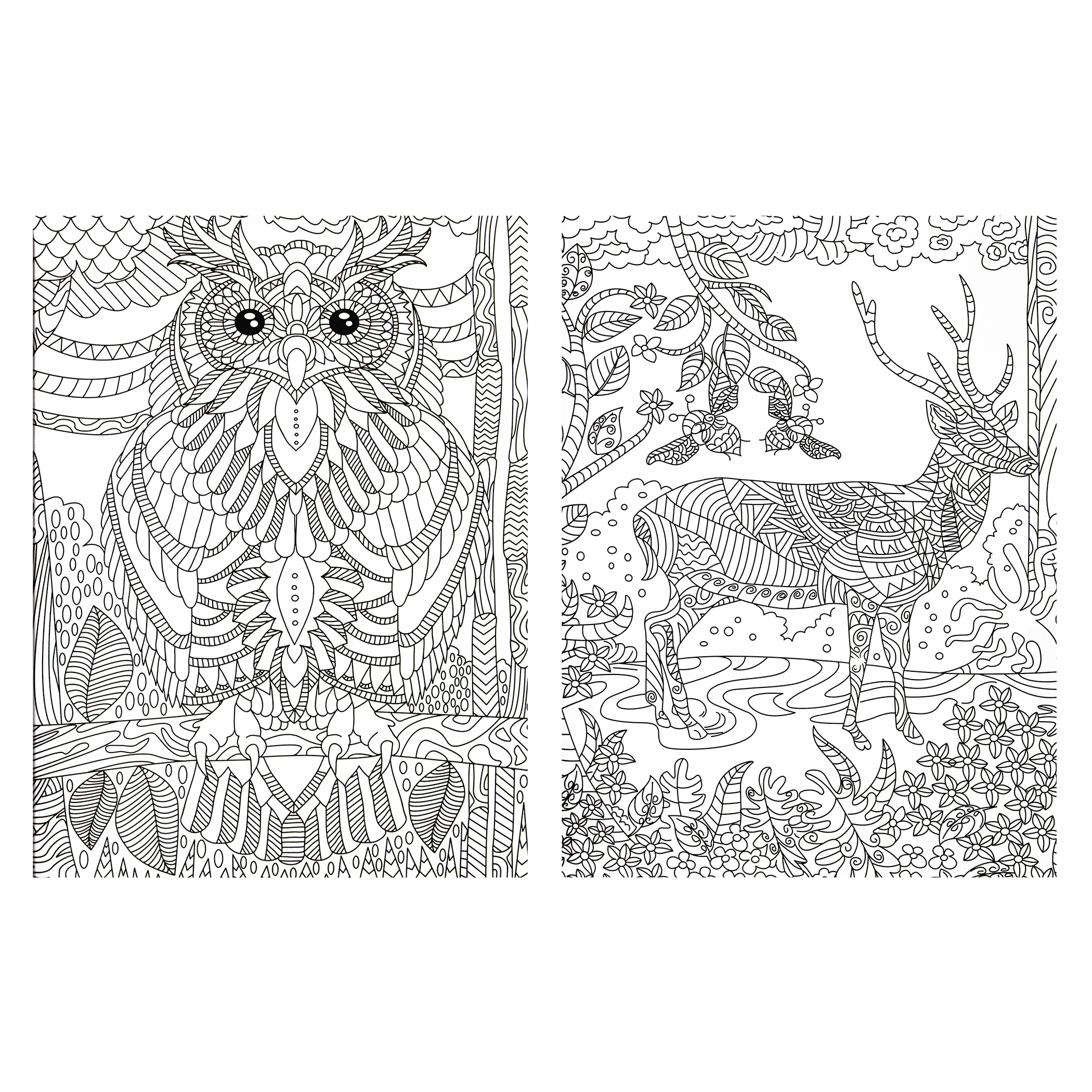 Libro para Colorear Animales + 12 colores + 24 Plumones + 64 Diseños