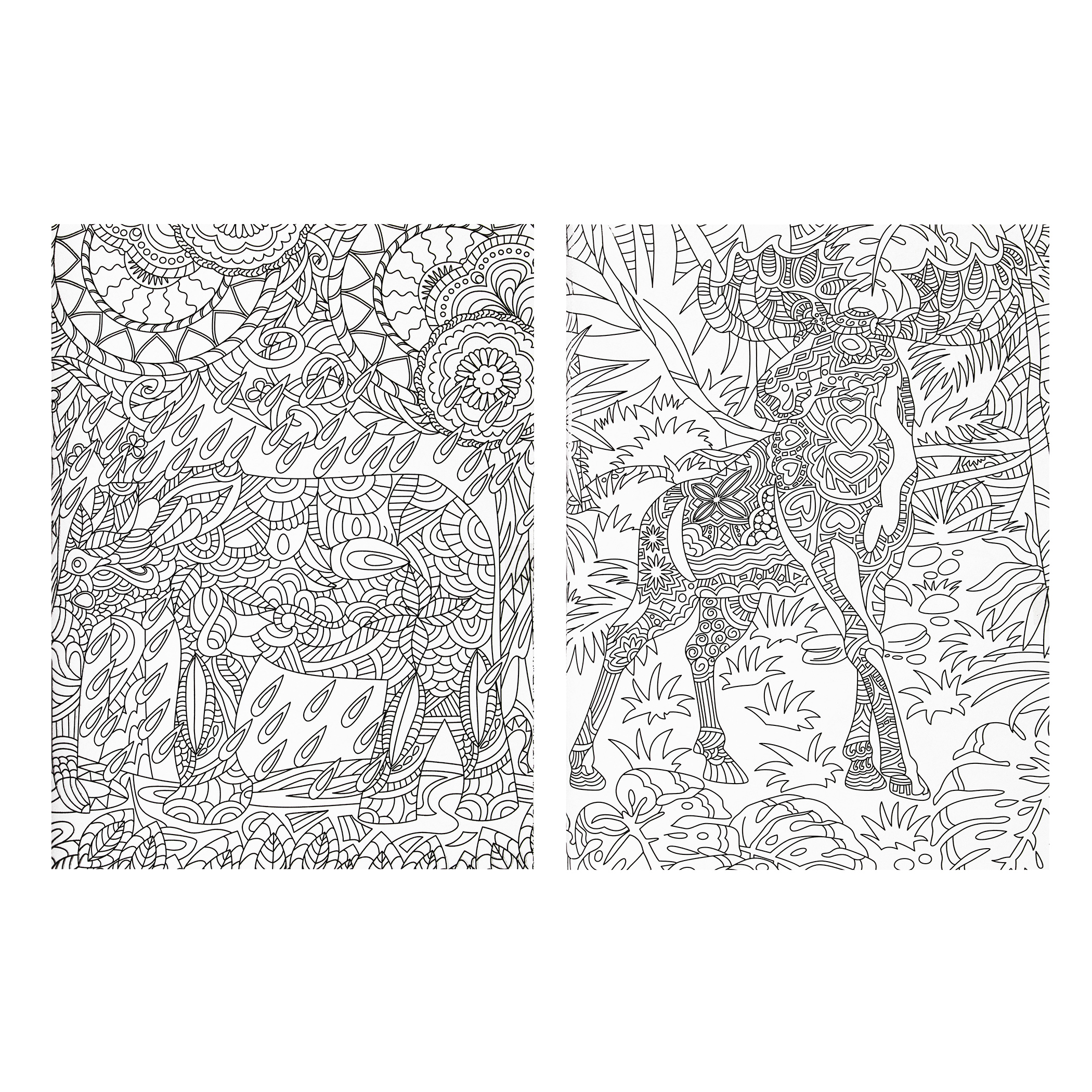 Libro para Colorear Animales + 12 colores + 24 Plumones + 64 Diseños