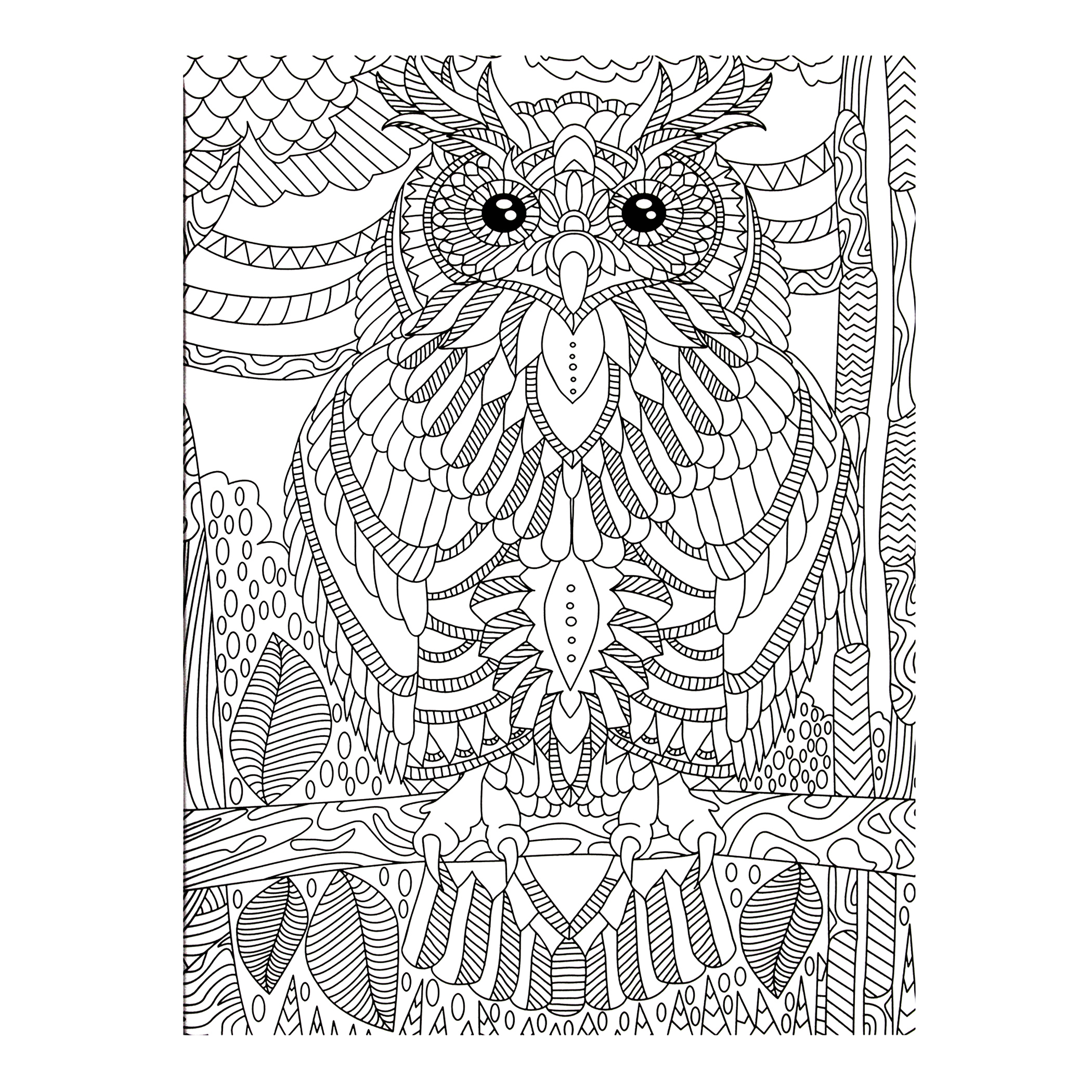 Libro para Colorear Animales 12 colores 24 Plumones 64 Diseños