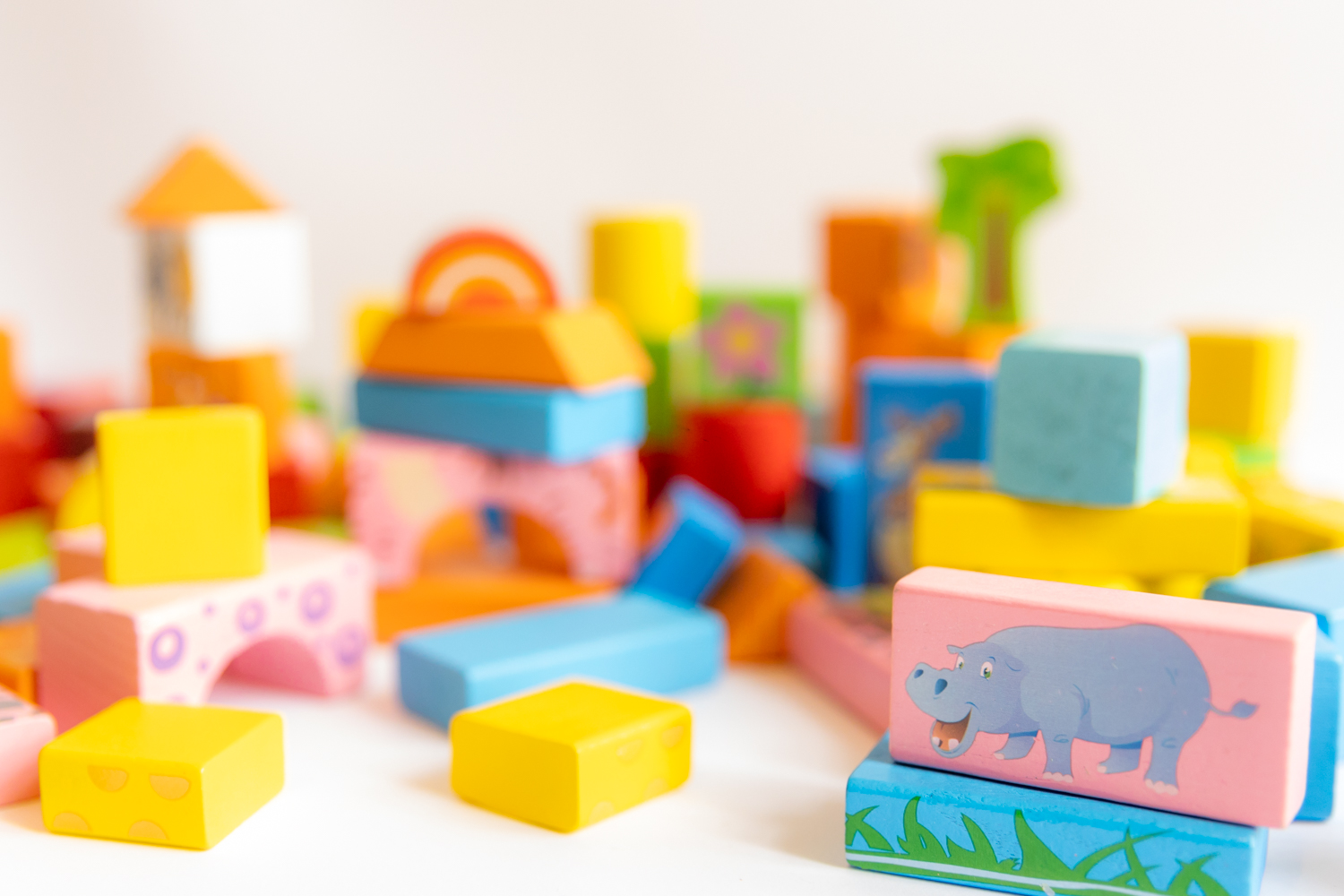 Bloques de madera con figuras de animales salvajes