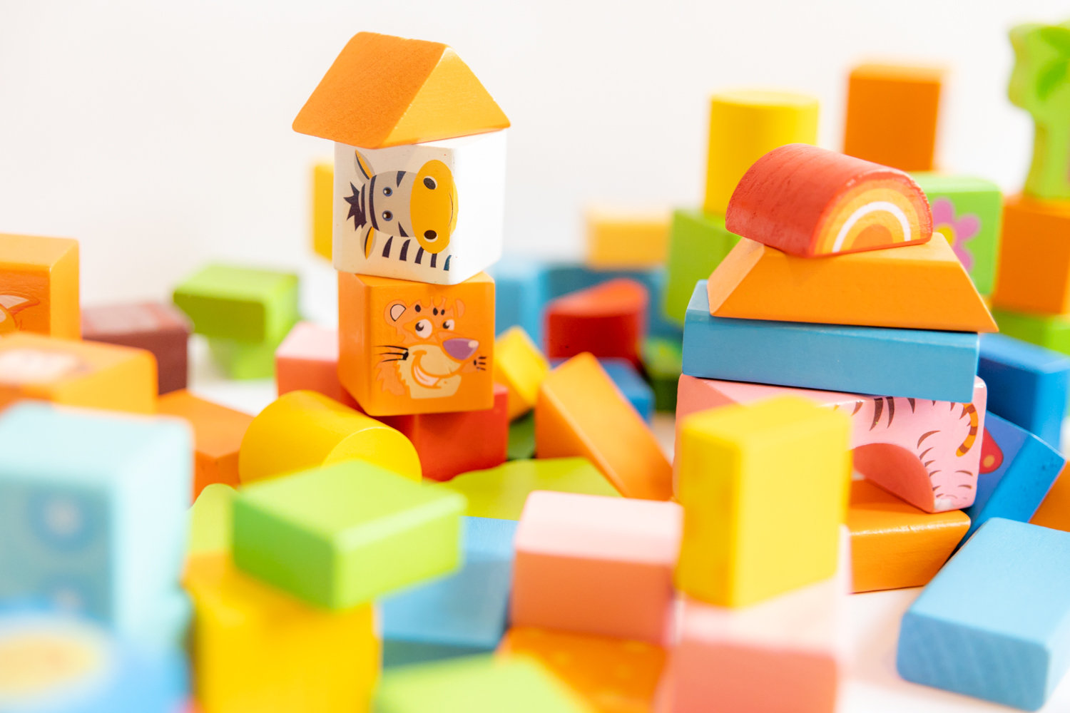 Bloques de madera con figuras de animales salvajes